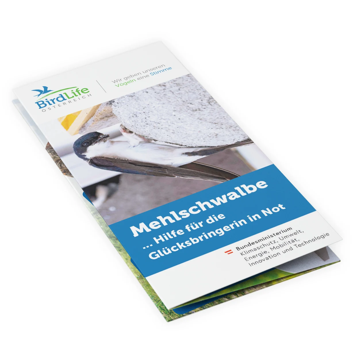 Ein Folder zum Schutz von Mehlschwalben.