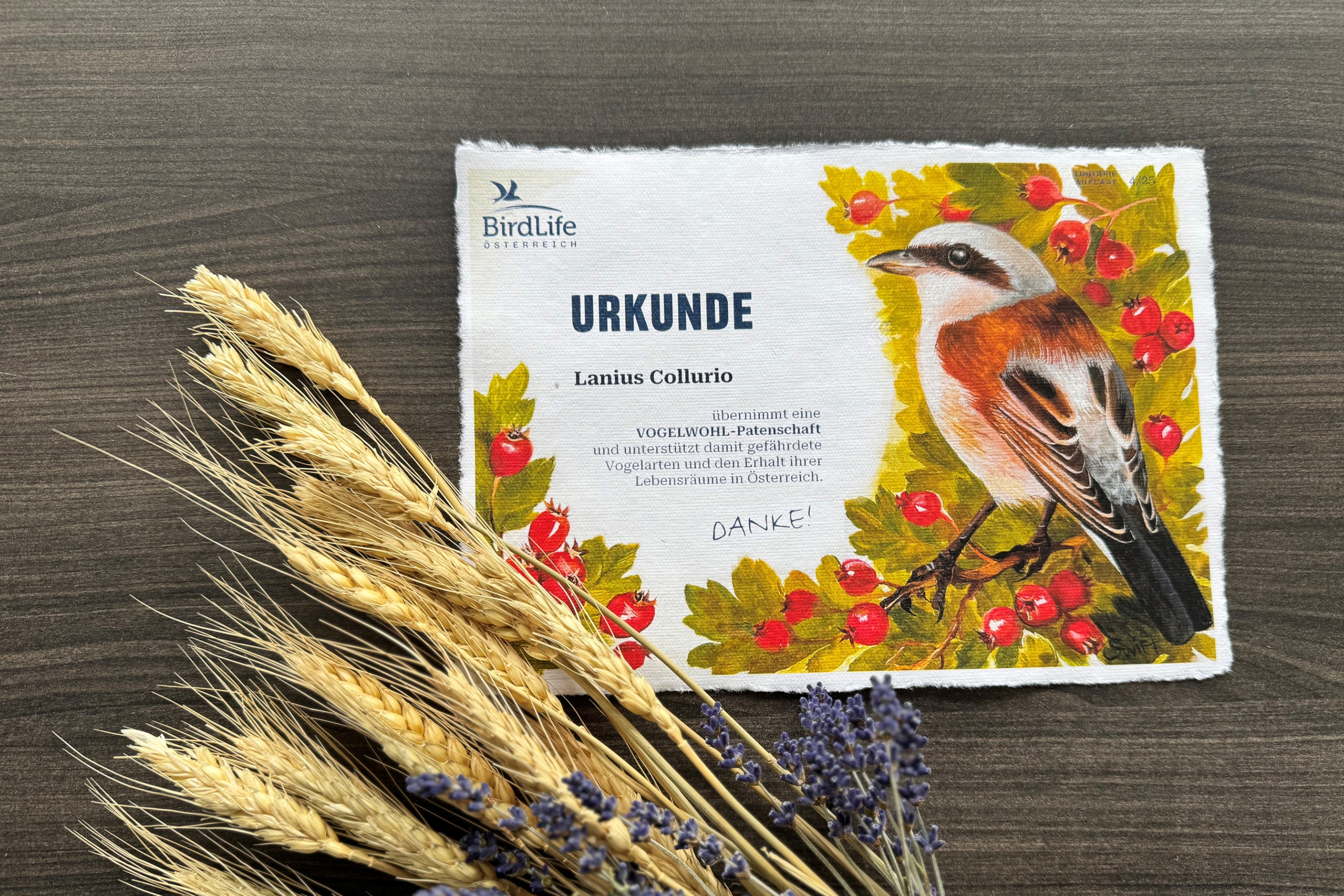 Ihr Dankeschön für Ihre (Geschenks-) Patenschaft.