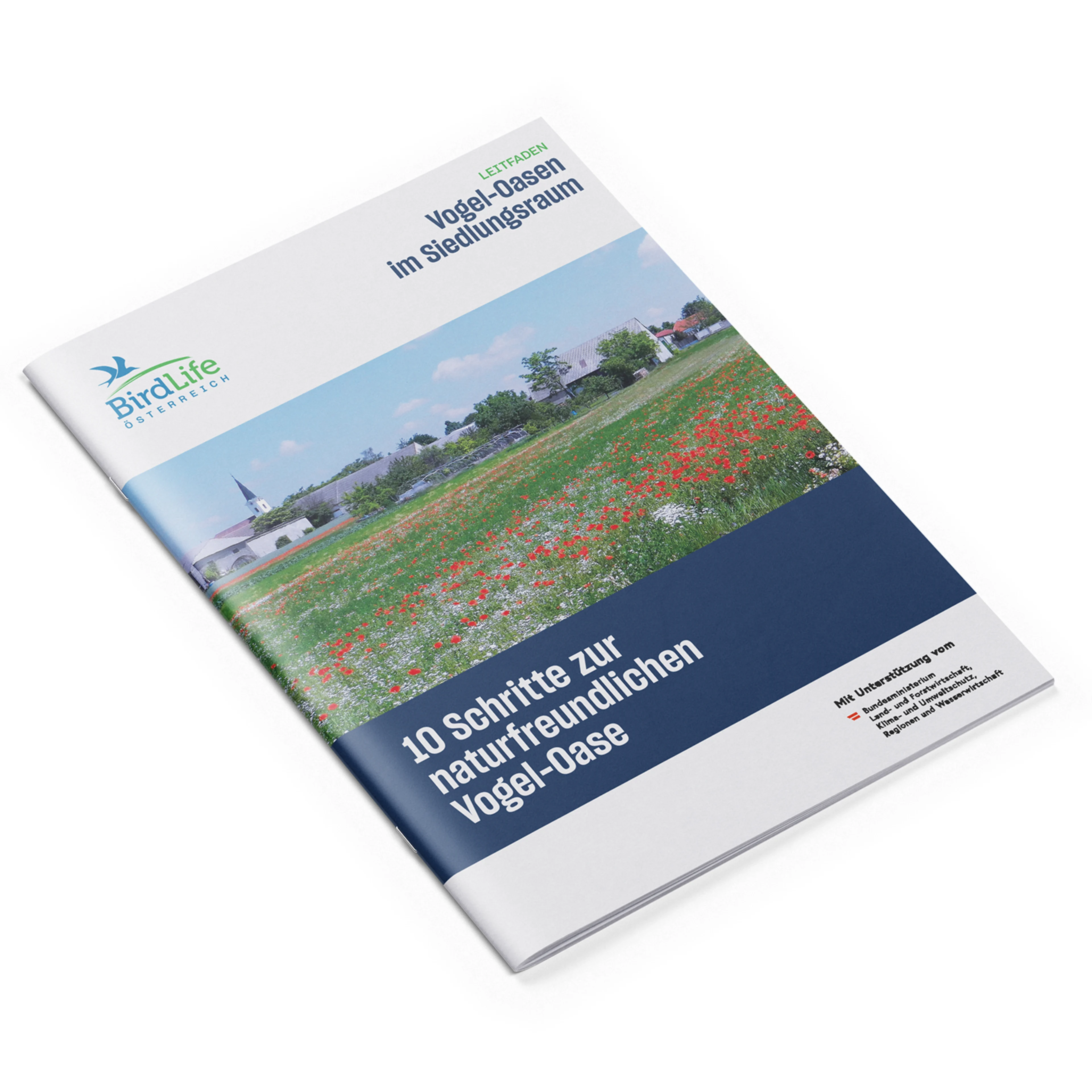 10 Schritte zur naturfreundlichen Vogel-Oase