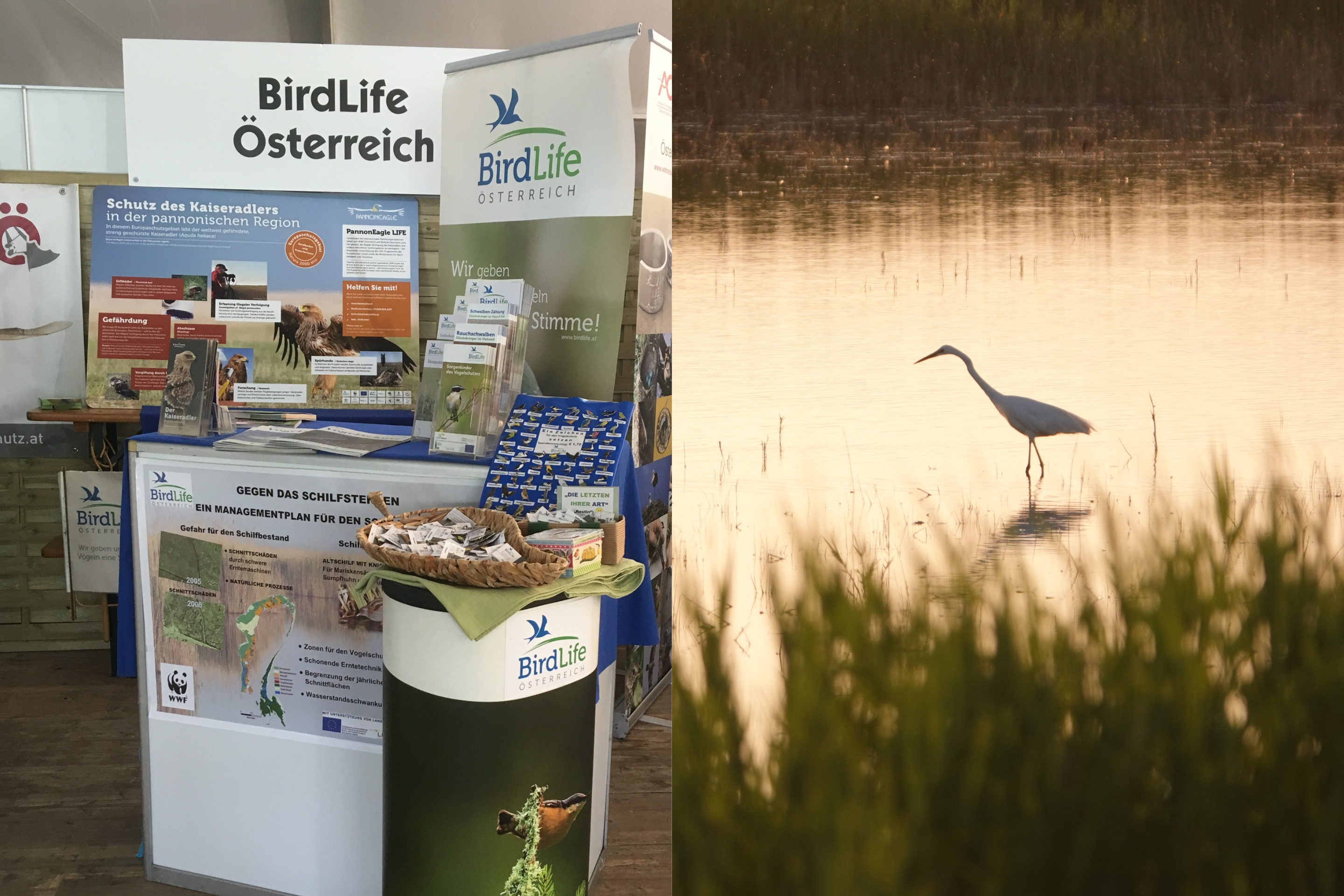 Zusammenschnitt einer ehemaligen BirdExperience.