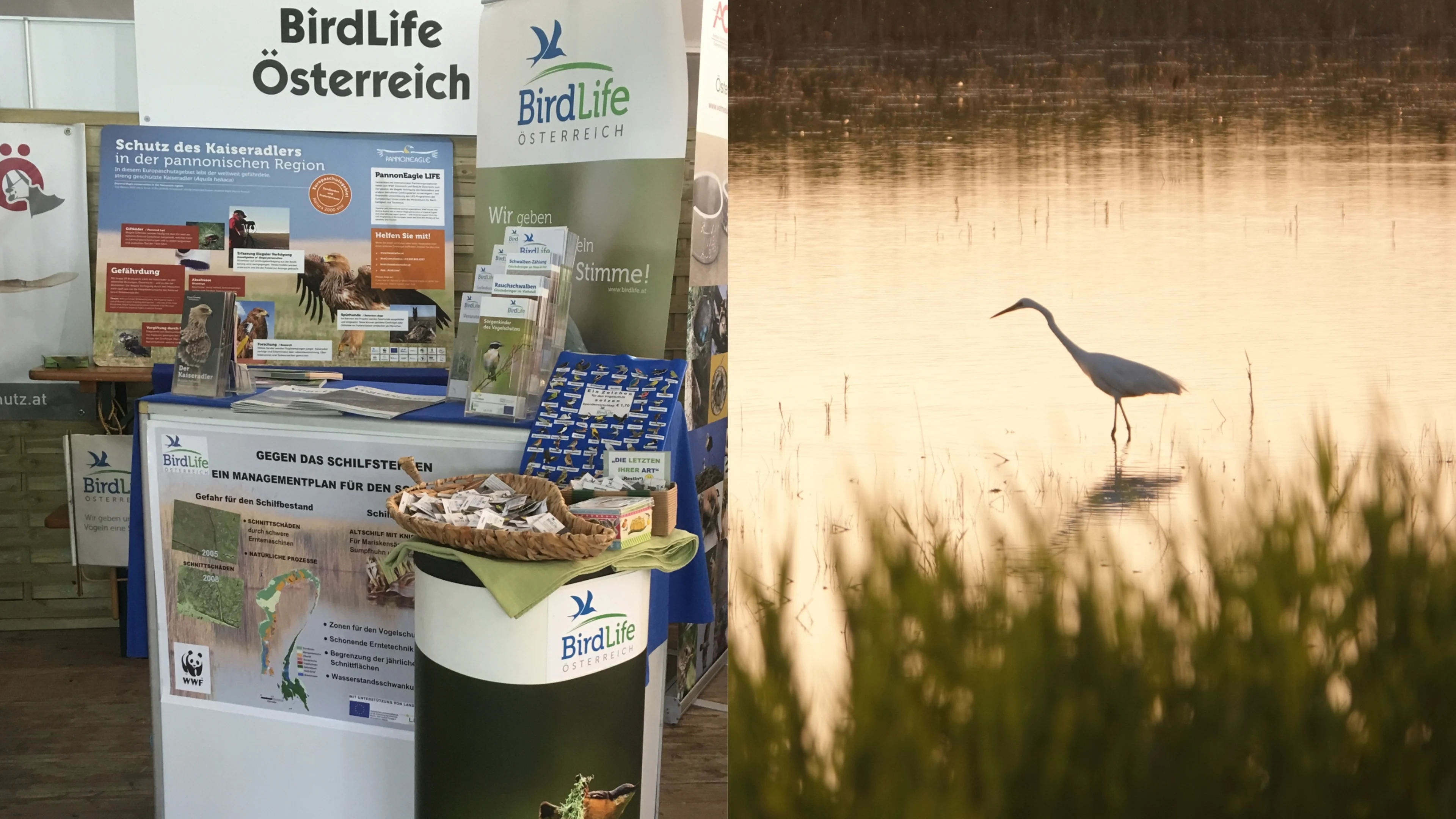 Zusammenschnitt einer ehemaligen BirdExperience.