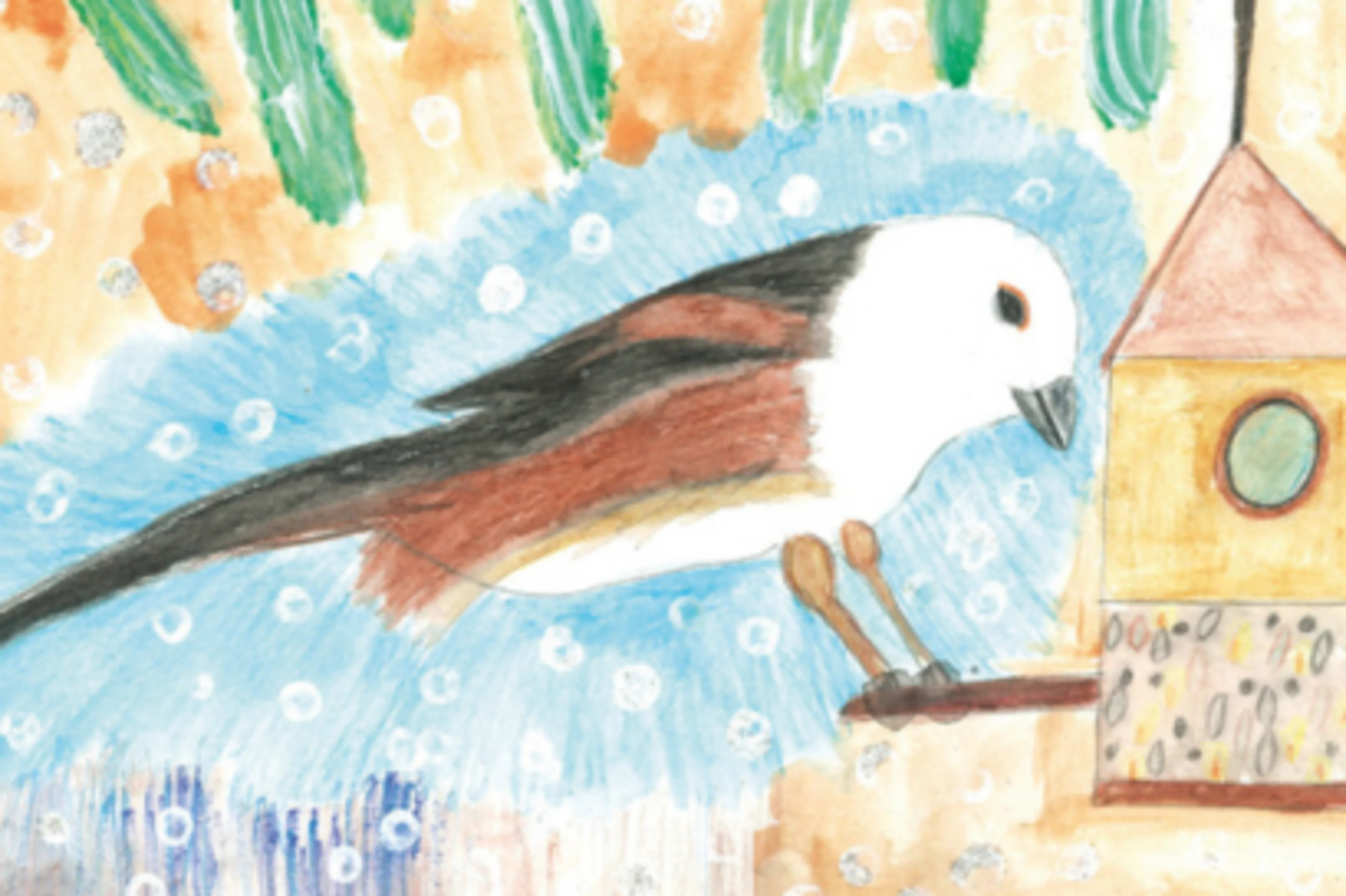 Die Zeichnung einer Schwanzmeise an einem Futterhaus.