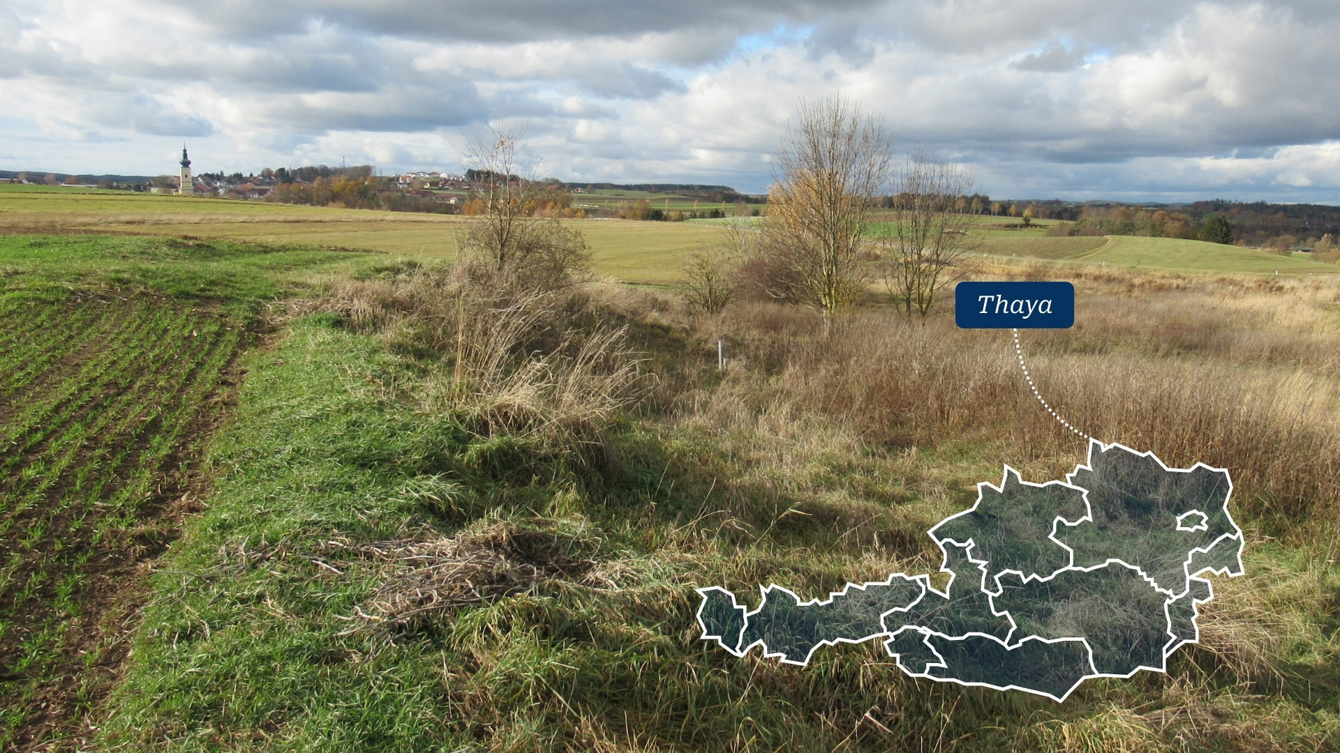 Eine der Naturschutzflächen von BirdLife Österreich an der Thaya in Niederösterreich.