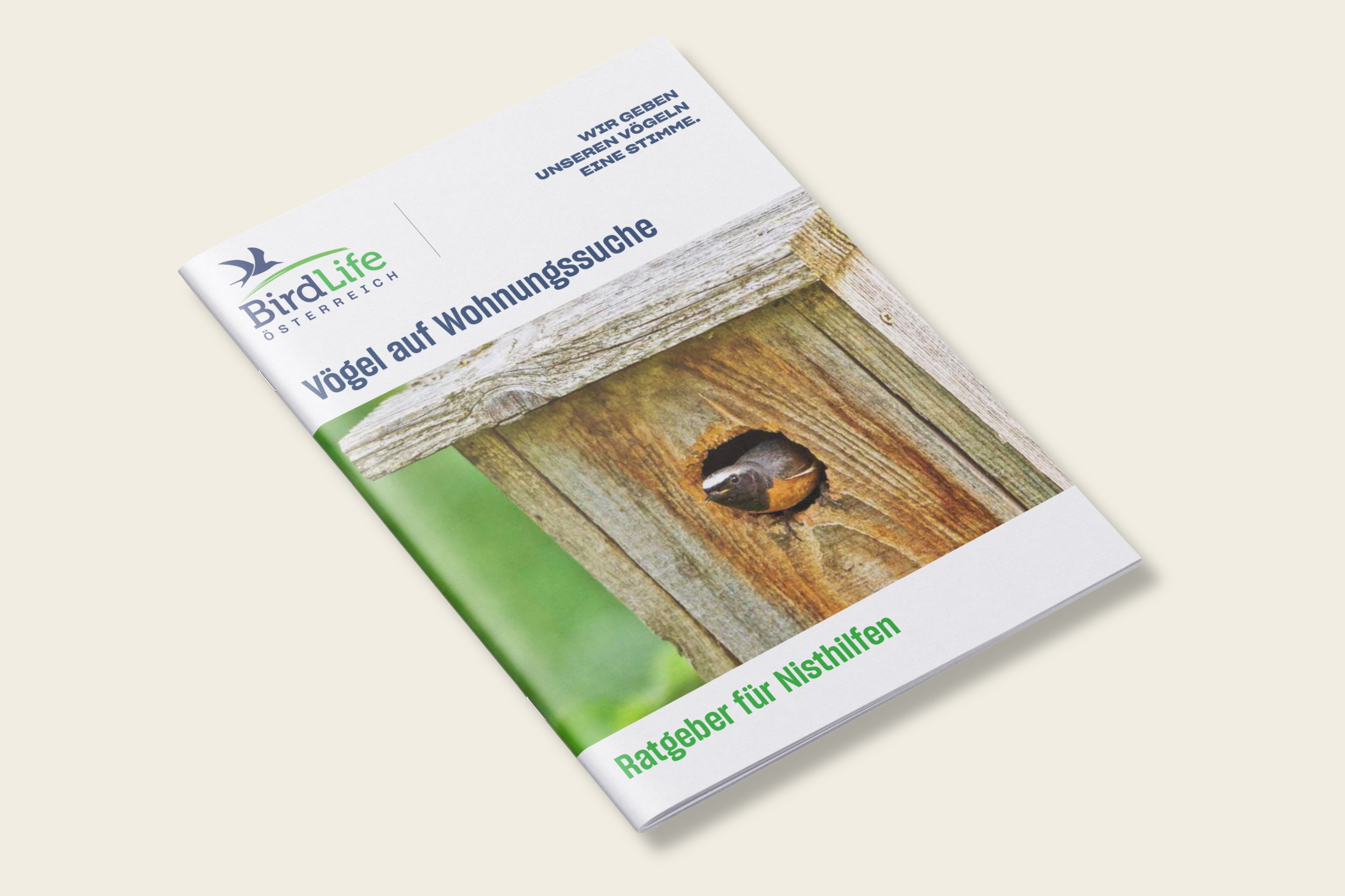 Auf dieser Grafik ist die Broschüre "Vögel auf Wohnungssuche" abgebildet.