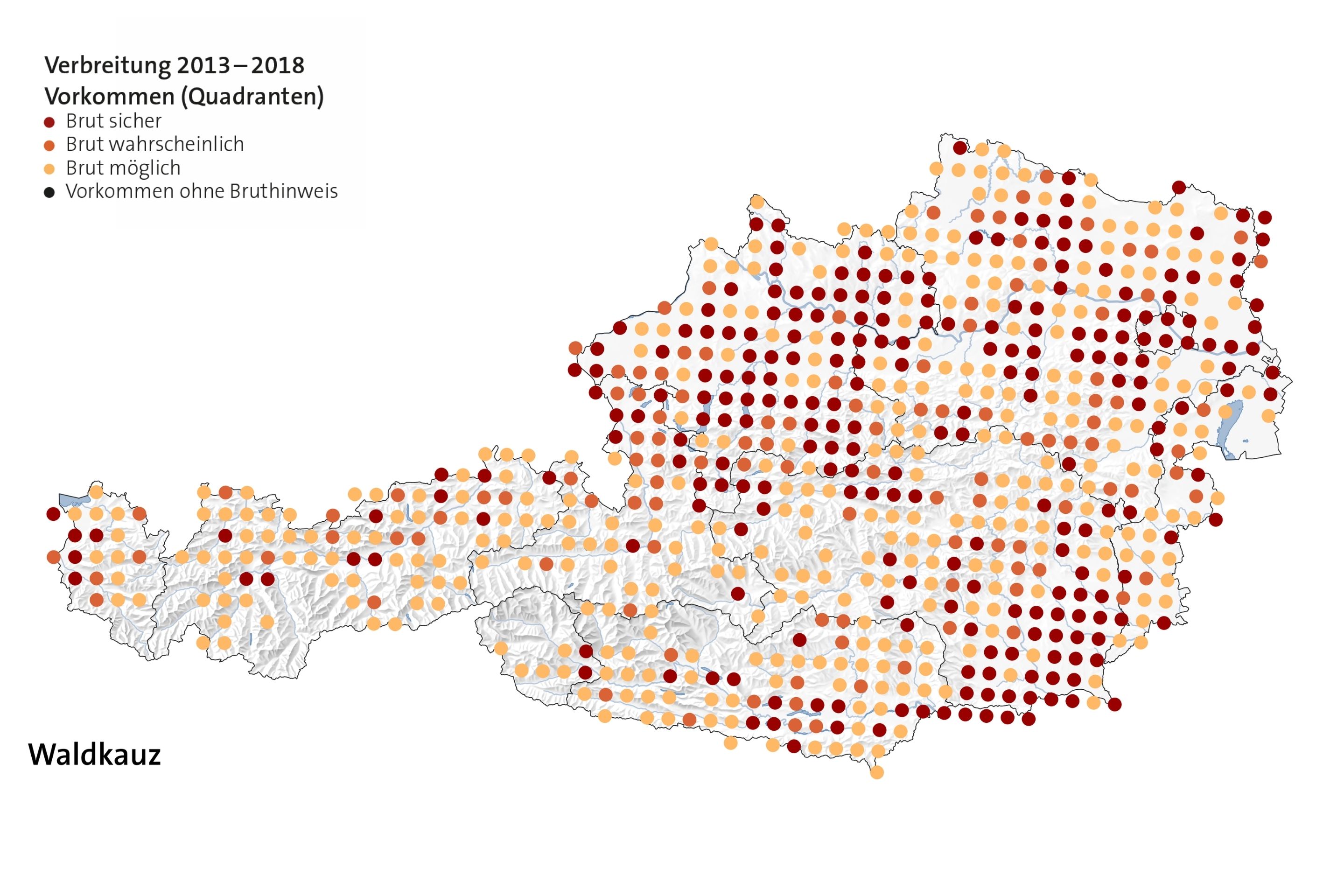 Auf der Österreichkarte erkennt man, dass der Waldkauz fast überall - mit der Ausnahme von hohen Lagen und baumlosen Niederungen - vertreten ist.