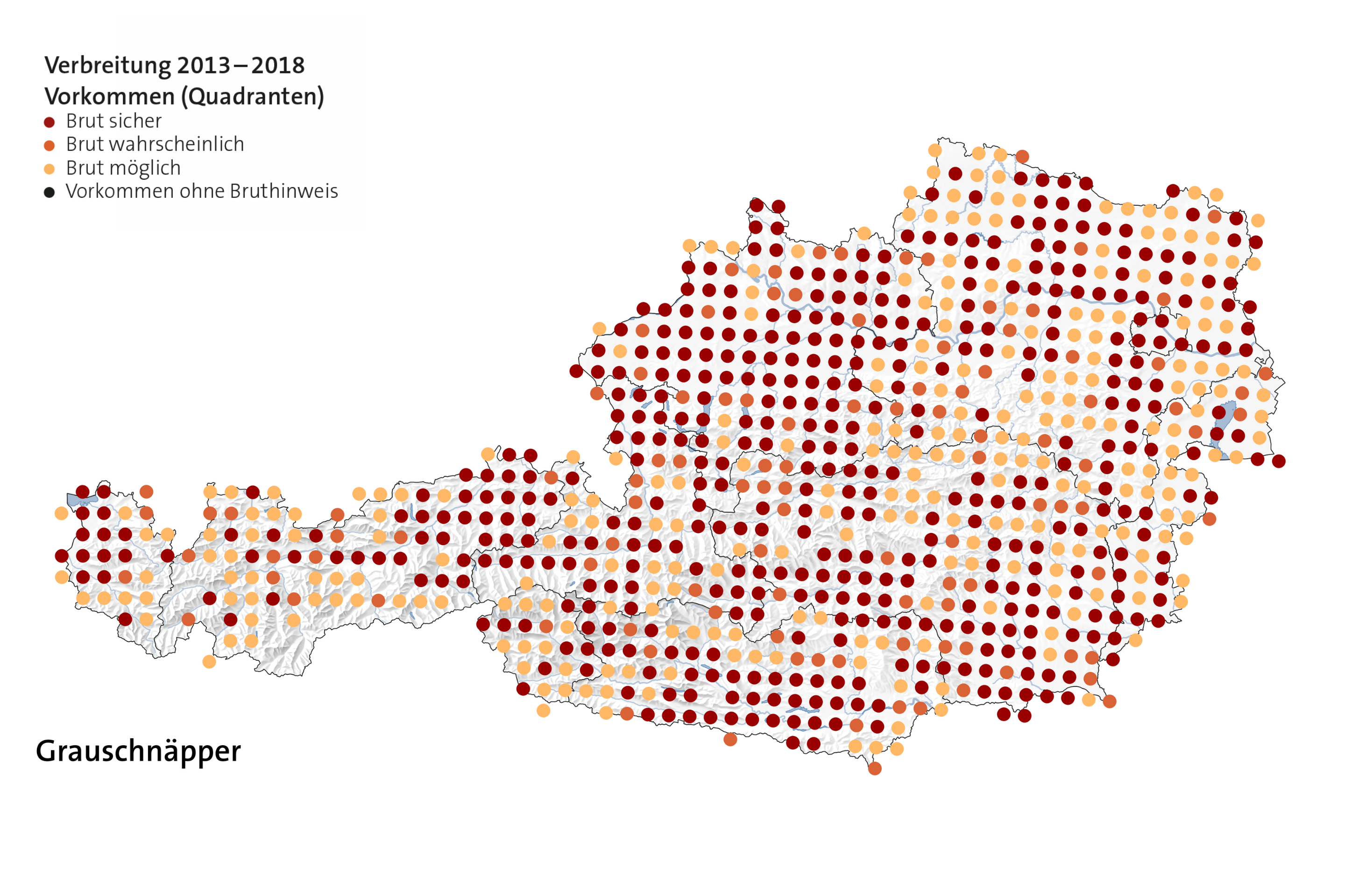 Aus dem österreichischen Brutvogelatlas: Verbreitungskarte des Grauschnäppers.