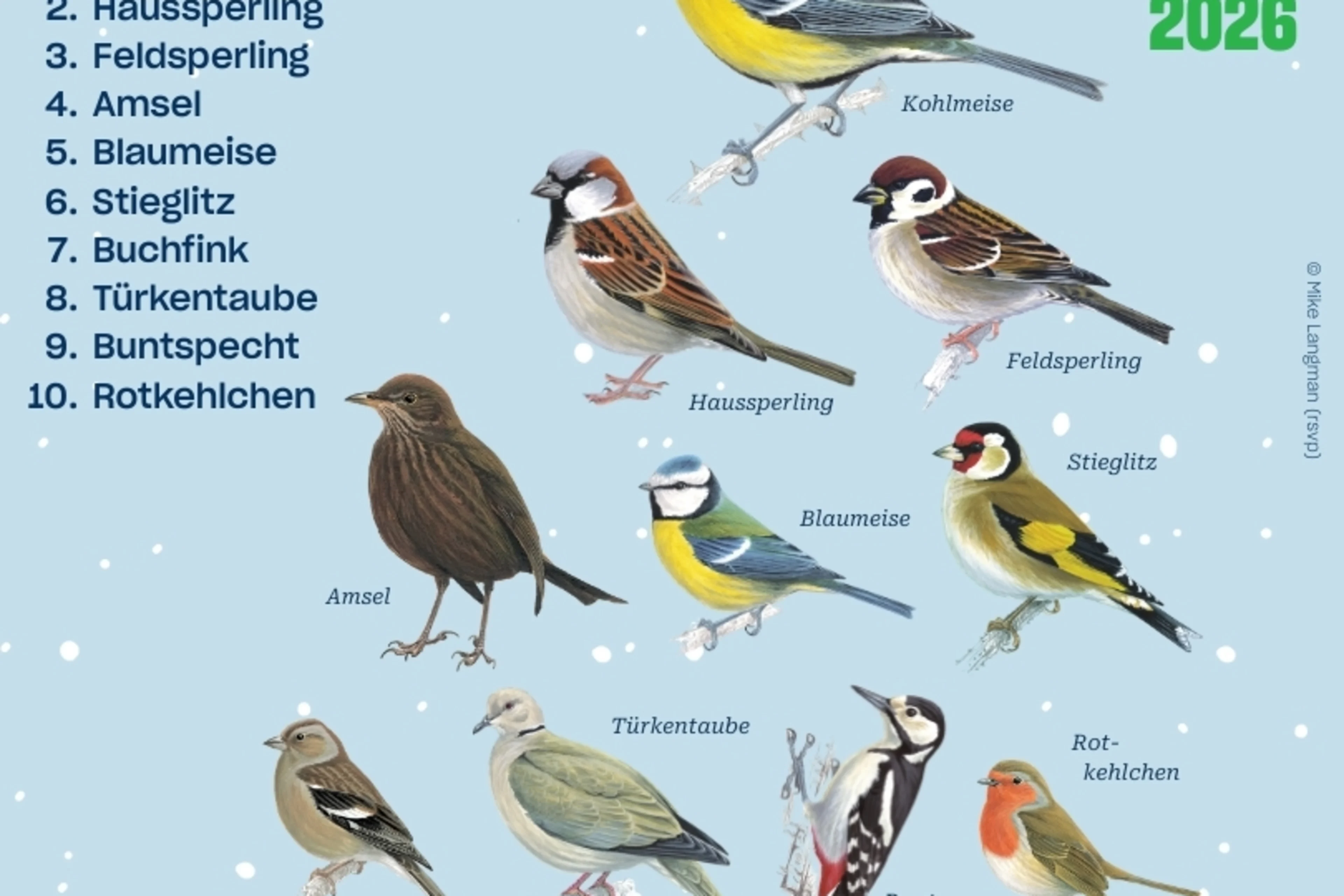 Die Top 10 Niederösterreichs der Stunde der Wintervögel.