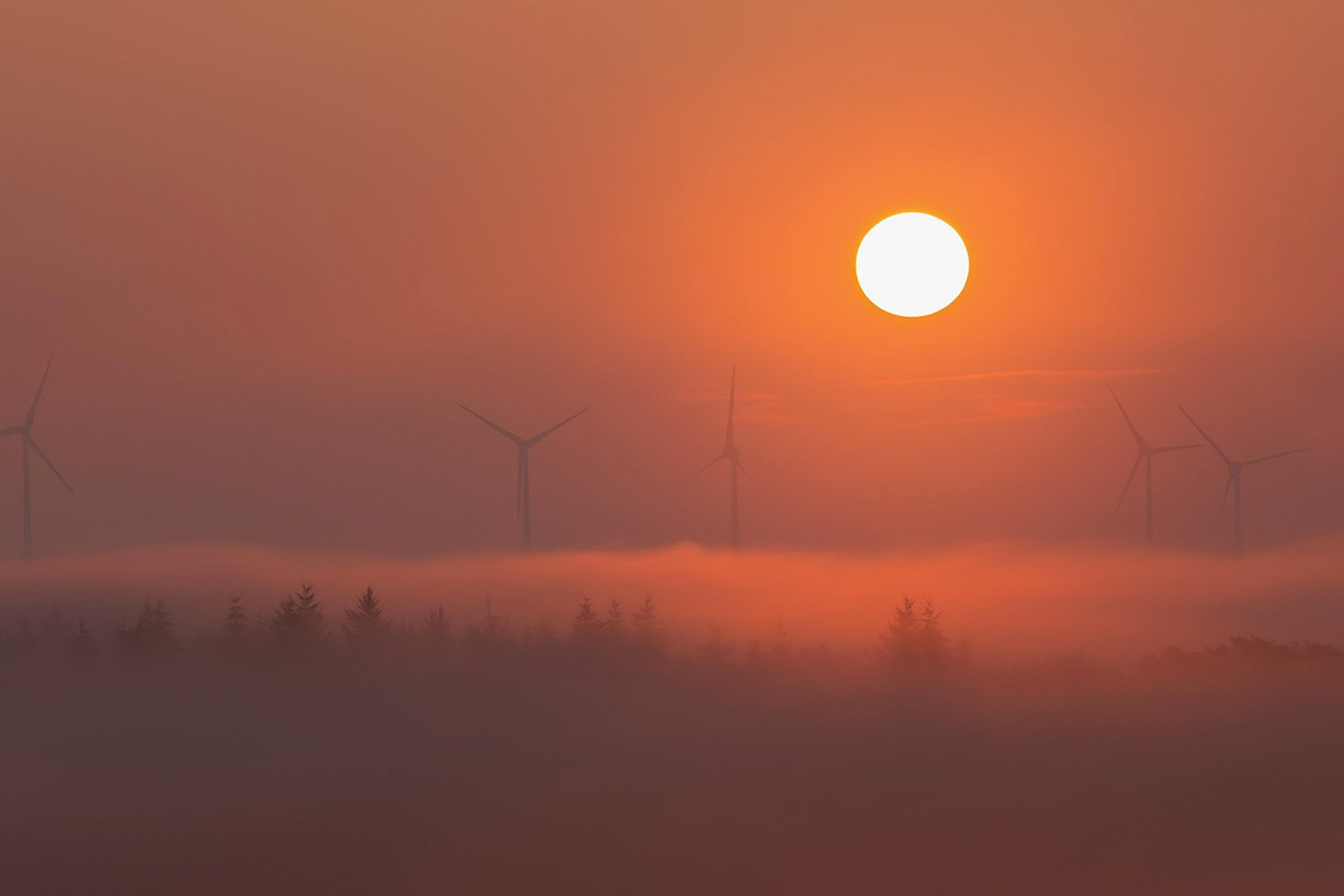 Foto: Windkrafträder über einem nebligen Wald bei Sonnenuntergang