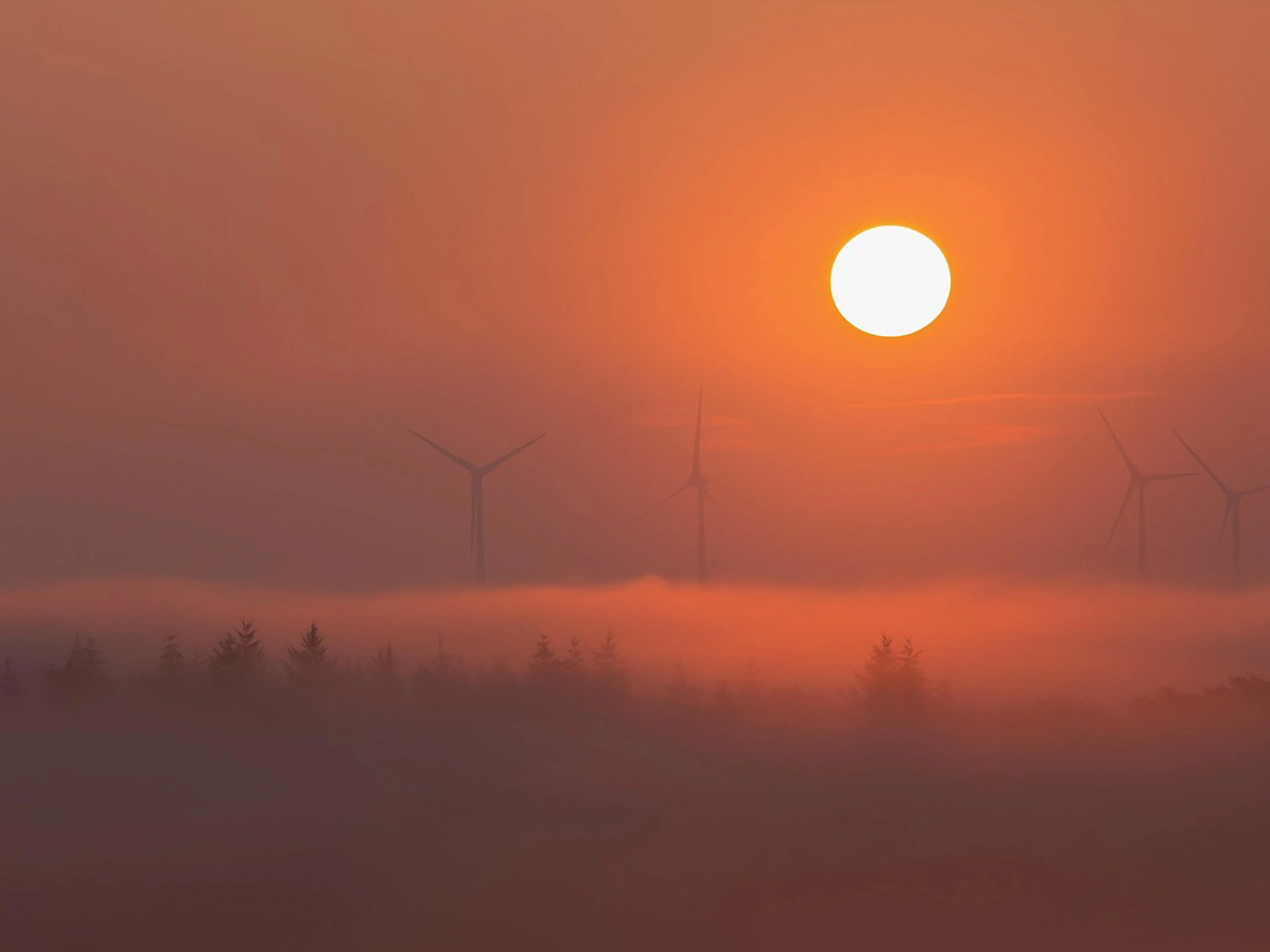 Foto: Windkrafträder über einem nebligen Wald bei Sonnenuntergang