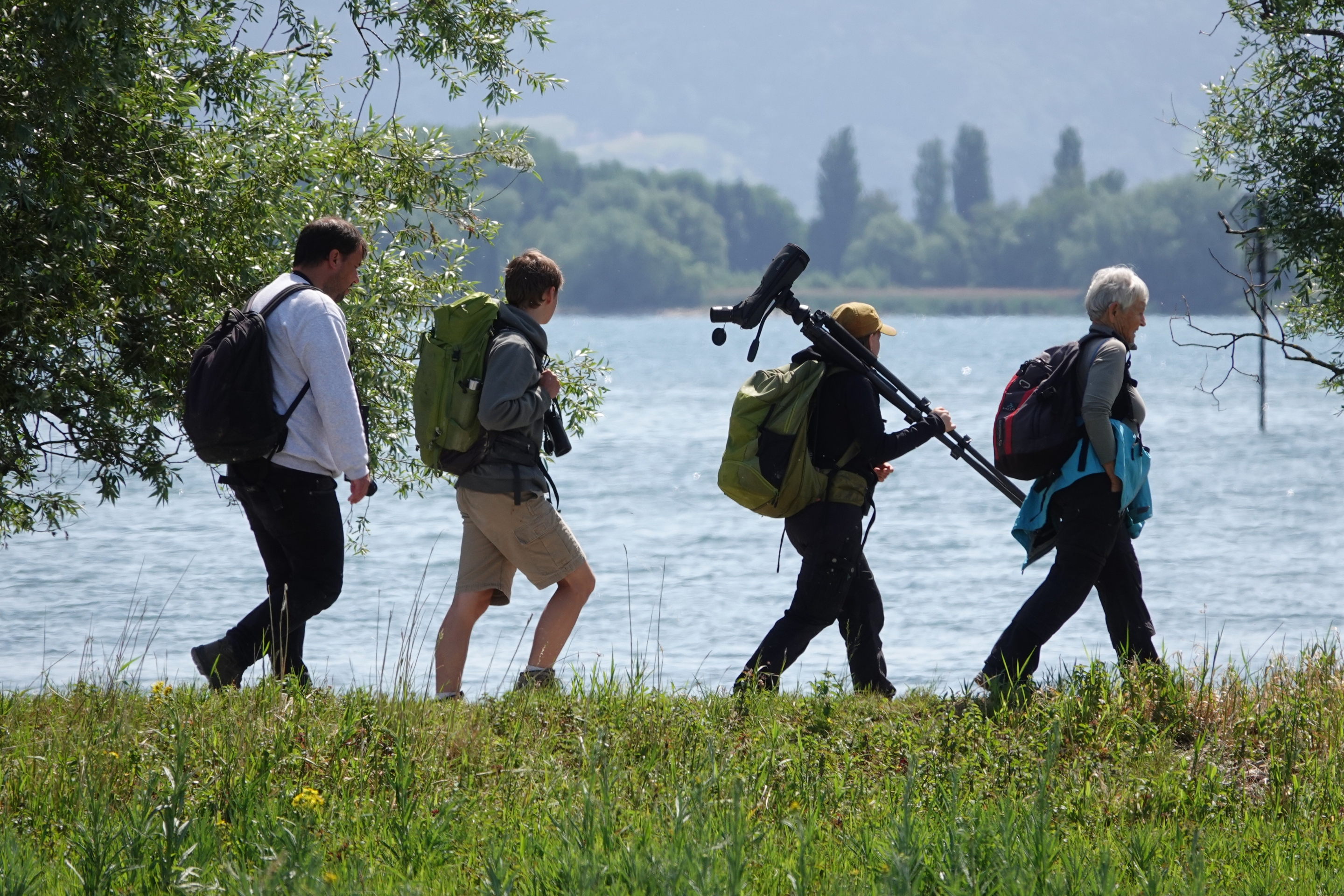 Vogelbeobachter:innen an einem der größten Stillgewässer Österreichs, dem Bodensee.