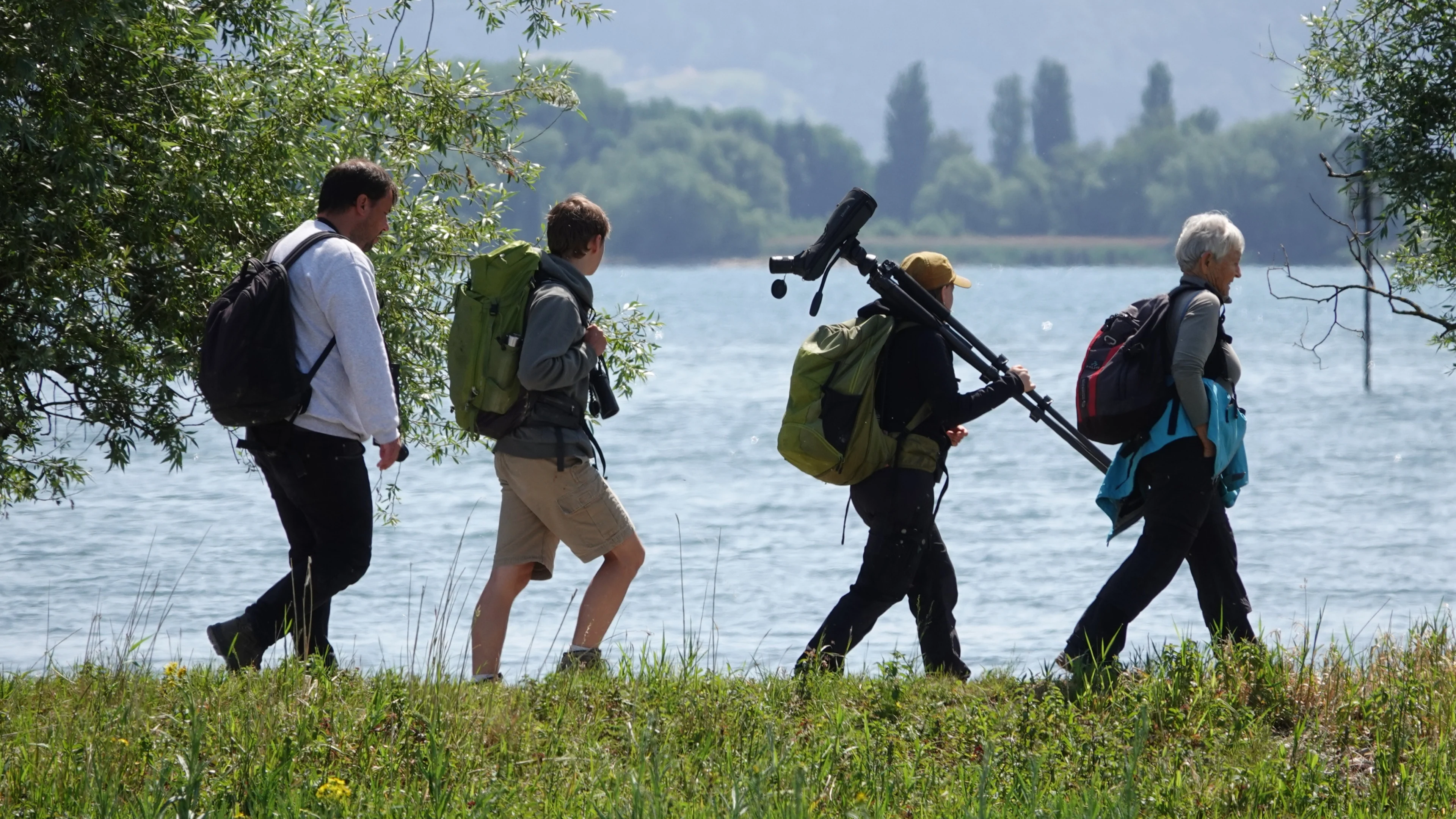 Vogelbeobachter:innen an einem der größten Stillgewässer Österreichs, dem Bodensee.