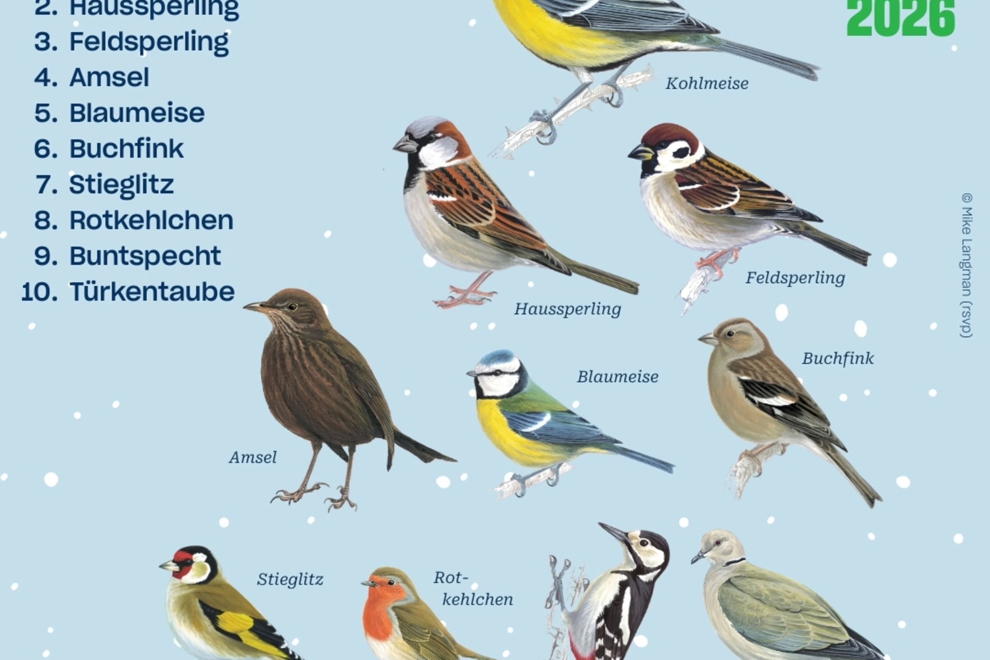 Die Top 10 Österreichs der Stunde der Wintervögel.