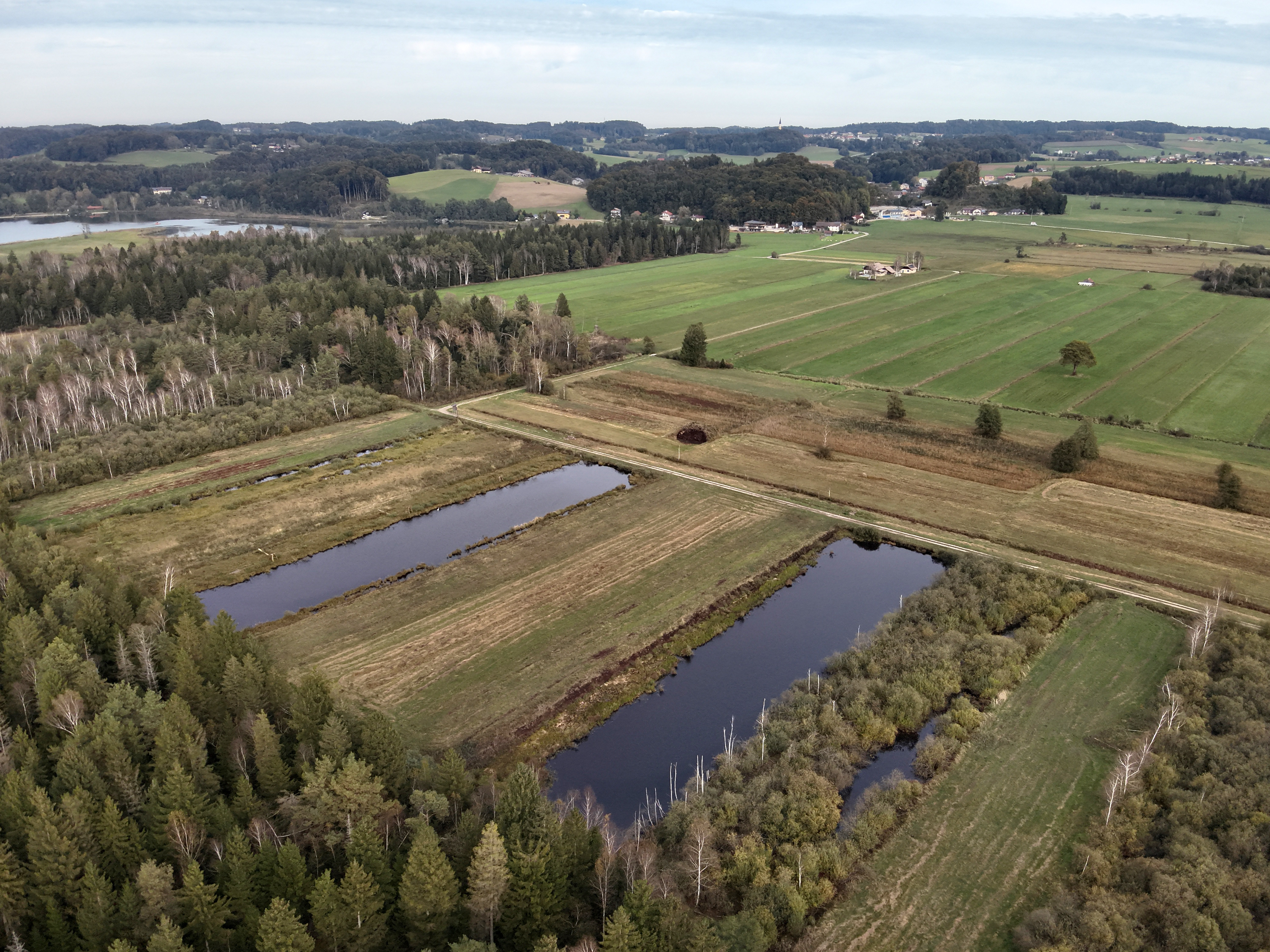 Lebensraummaßnahmen an den Torfstichteichen für die Bekassine.