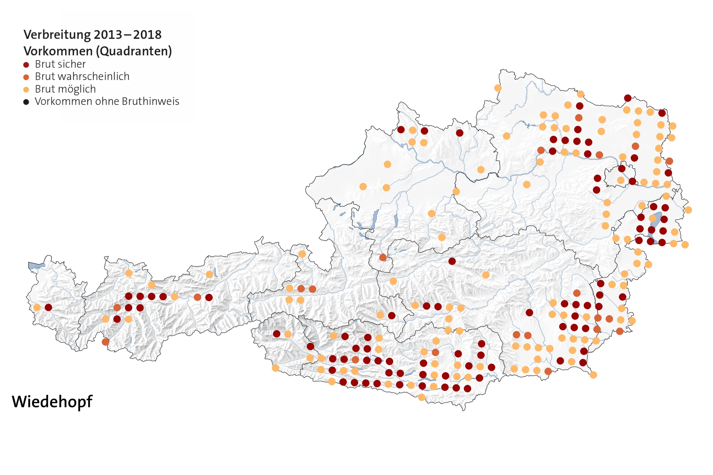 Diese Karte zeigt die Verbreitung des Wiedehopfes in Österreich.
