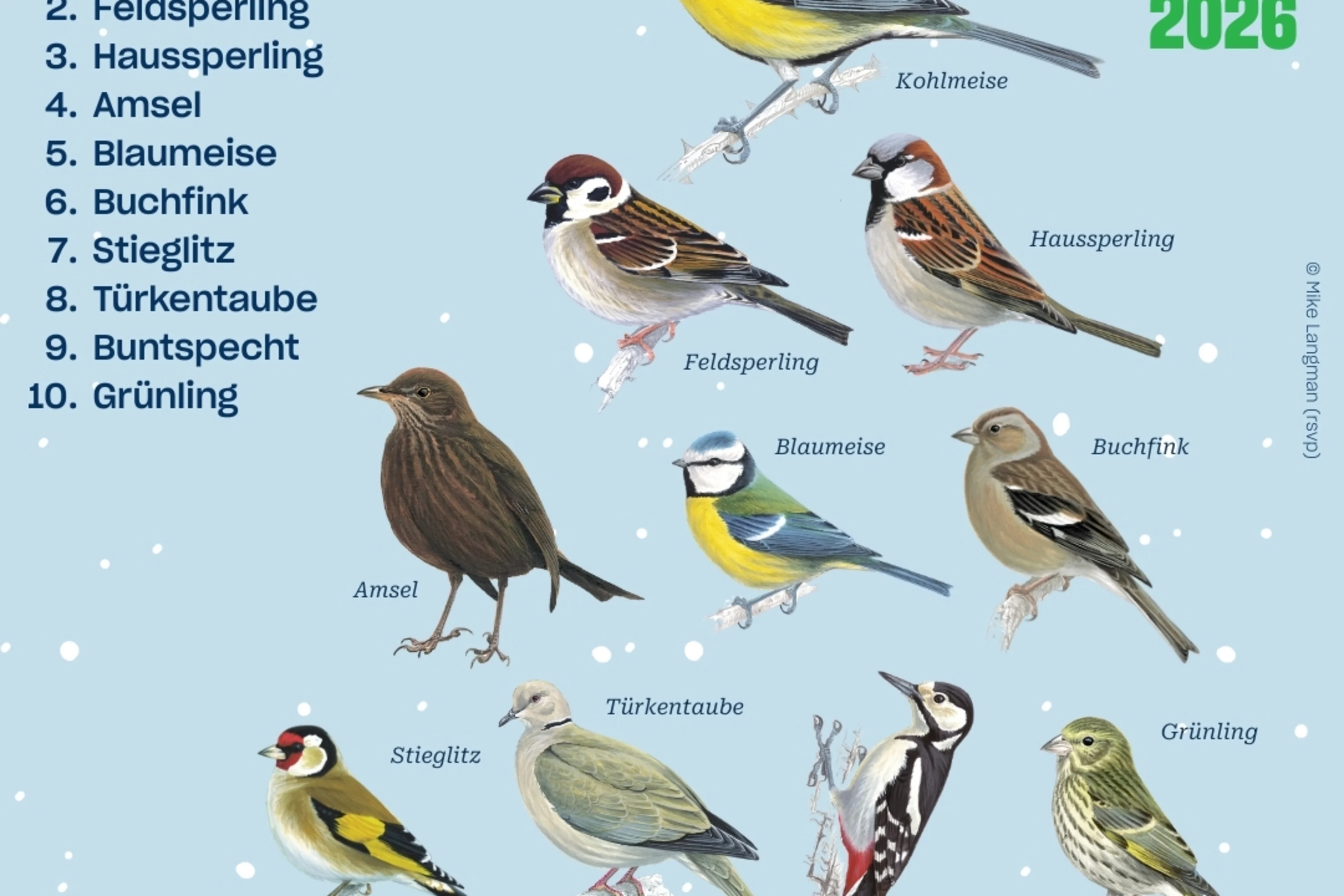 Die Top 10 der Stunde der Wintervögel in Oberösterreich.