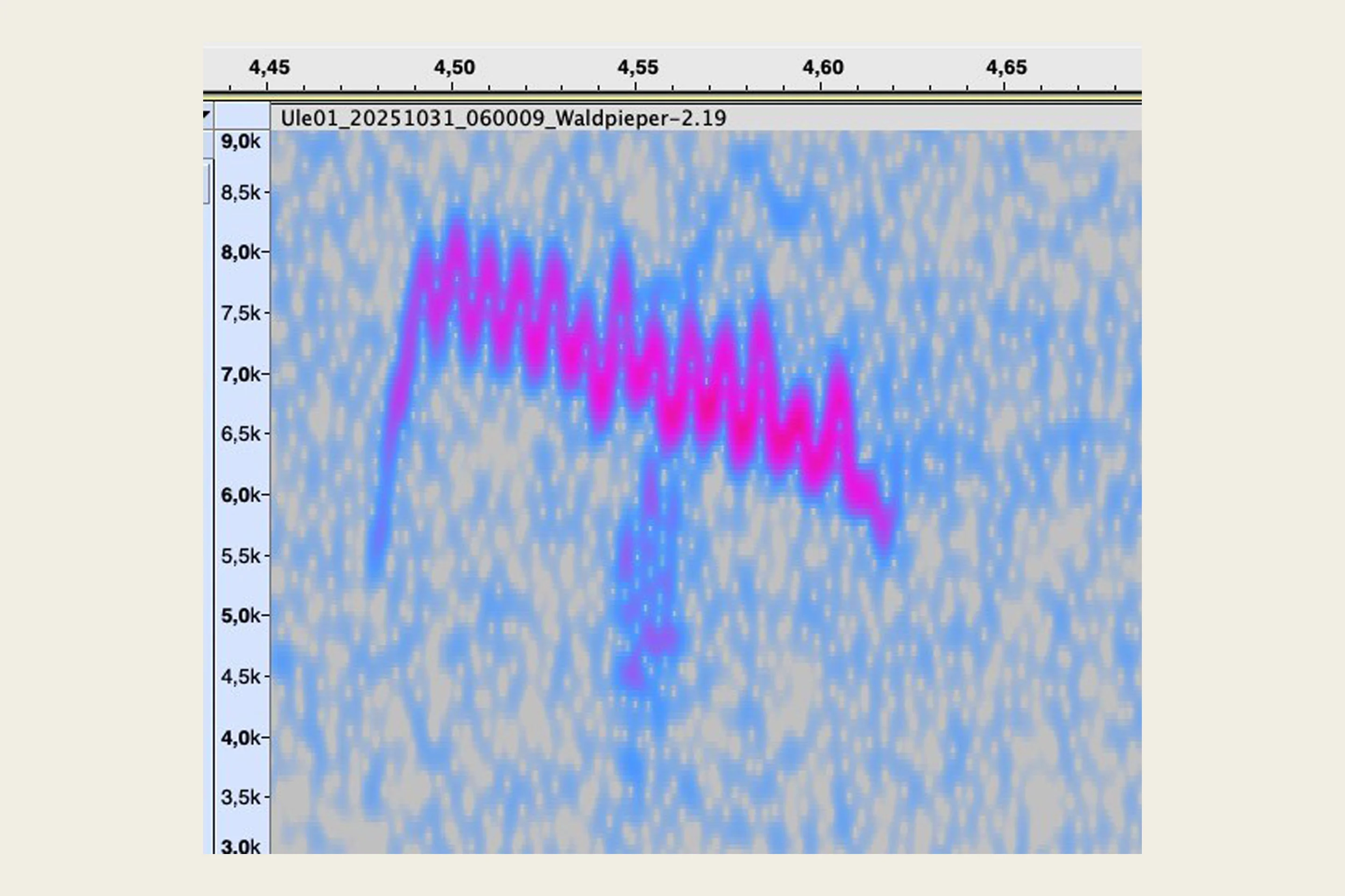 Ein Sonogramm eines Waldpiepers.