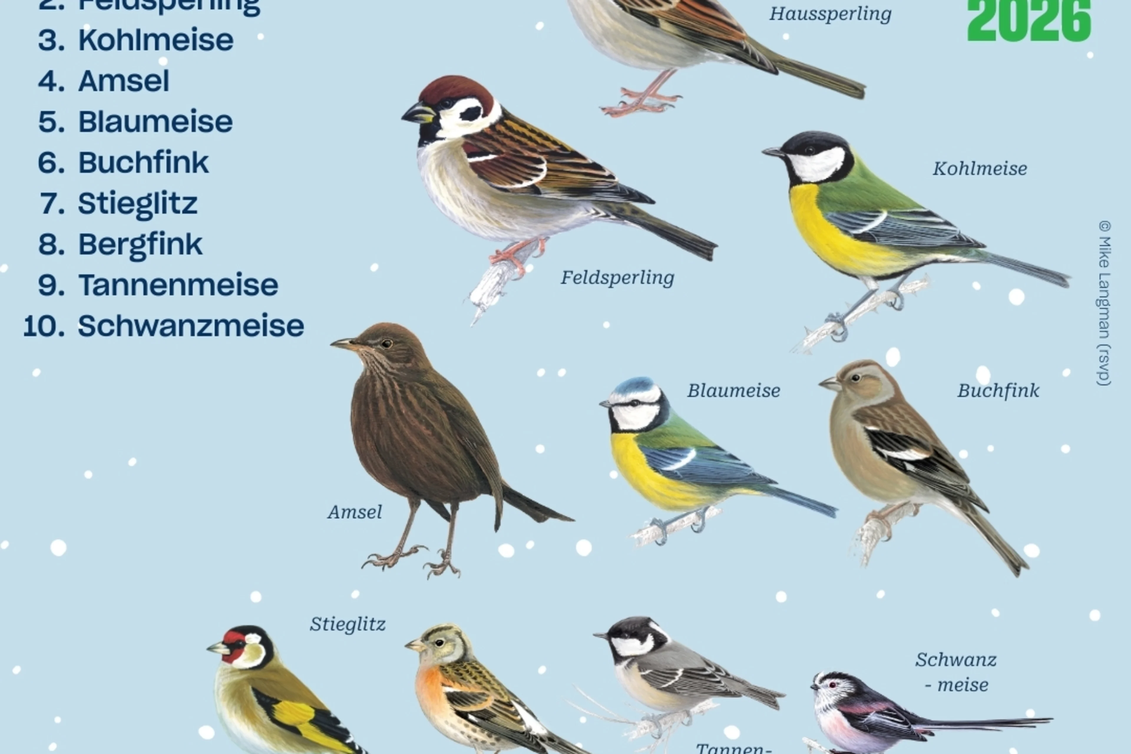 Die Top 10 der Stunde der Wintervögel der Steiermark.
