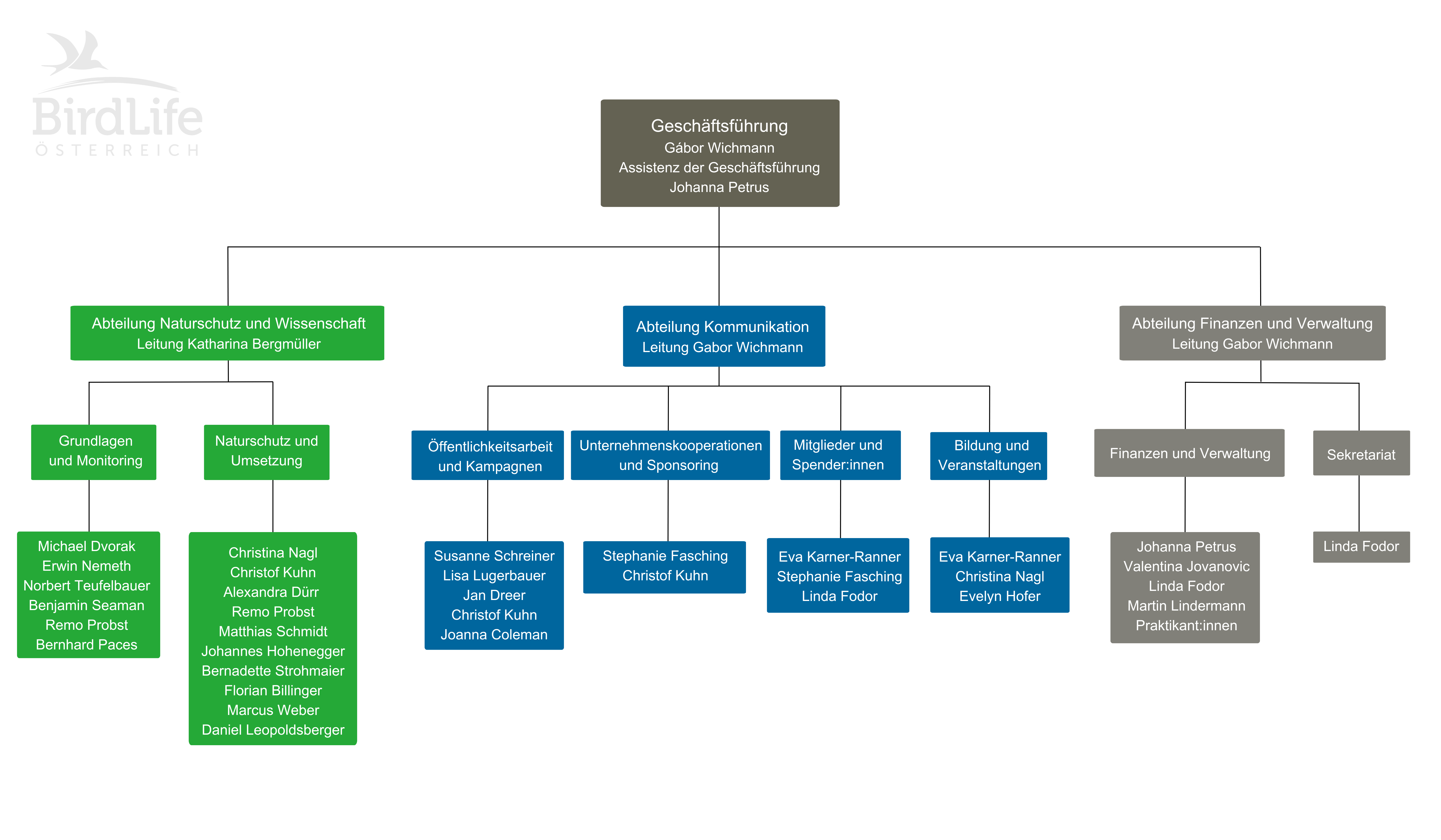 Das Organigramm von BirdLife Österreich (Stand August 2025).