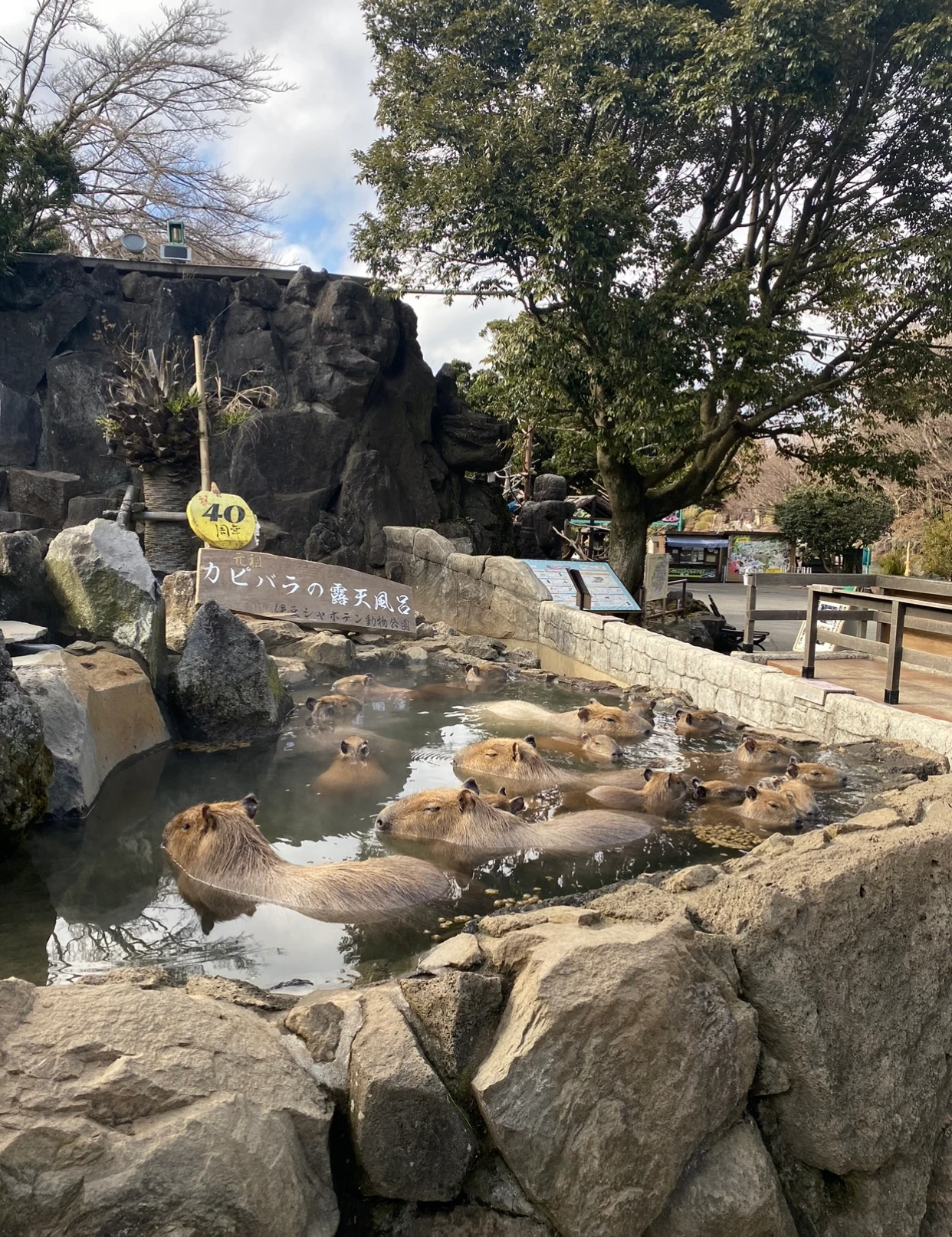 かぴばら温泉_SUPINF 