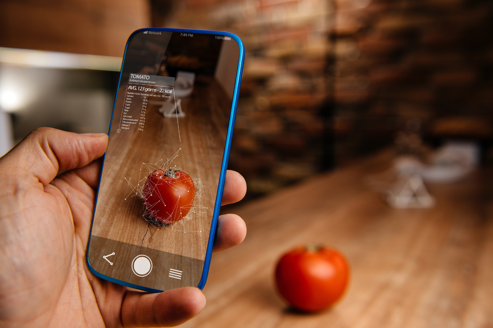 Image of iphone taking a photo of a tomato - data is showing up on the phone. 