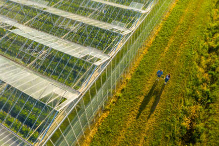 Aerial view of greenhouse and person walking across the lawn, carrying crate with vegetables.