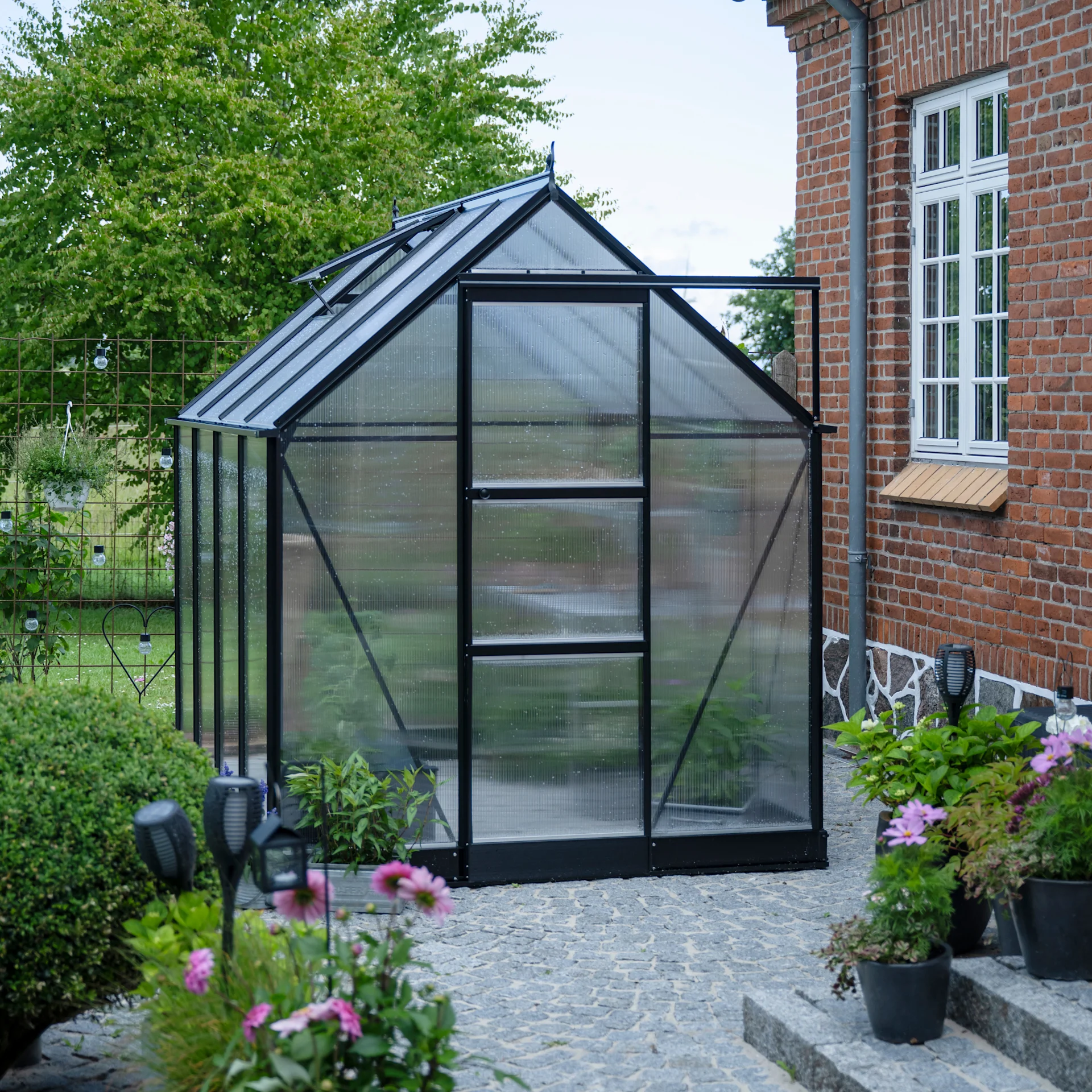 2480 2480 ICON 6 POLY