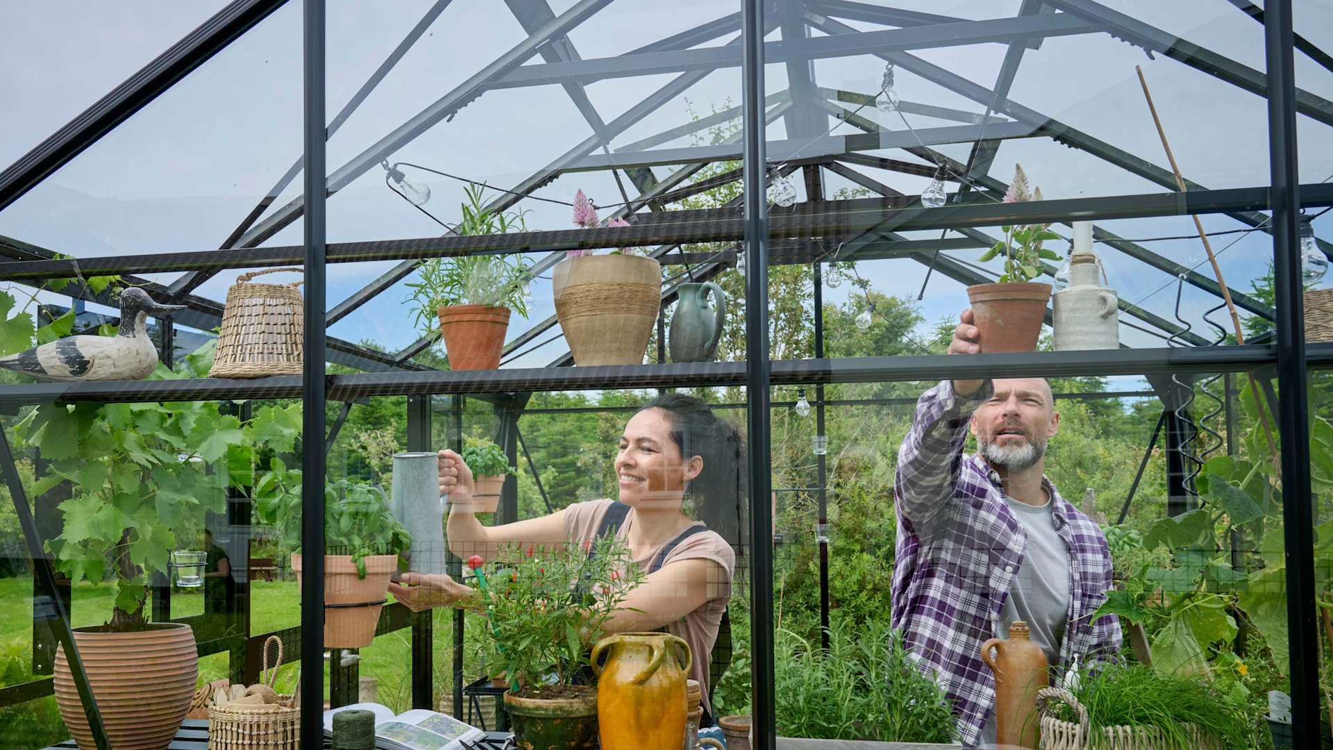 2480x1395 Store drømme i små drivhuse