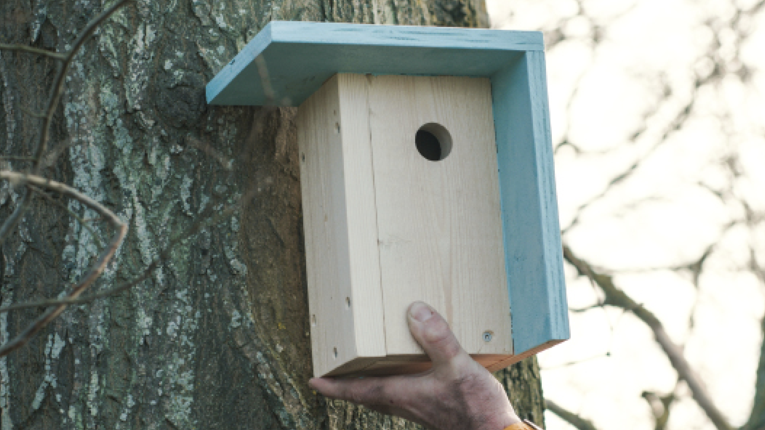 Et fuglehus er et nemt lille forårs-projekt at bygge, og så hjælper det fuglene med at yngle i sikkerhed. Fuglehuset er designet i samarbejde med Casper Kjerumgaard og passer til bl.a. blåmejser og musvitter.