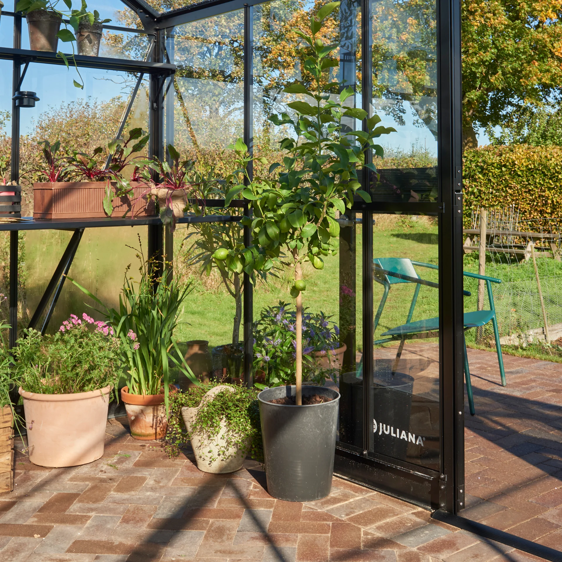 2480 x 2480 jubii 60 (3)