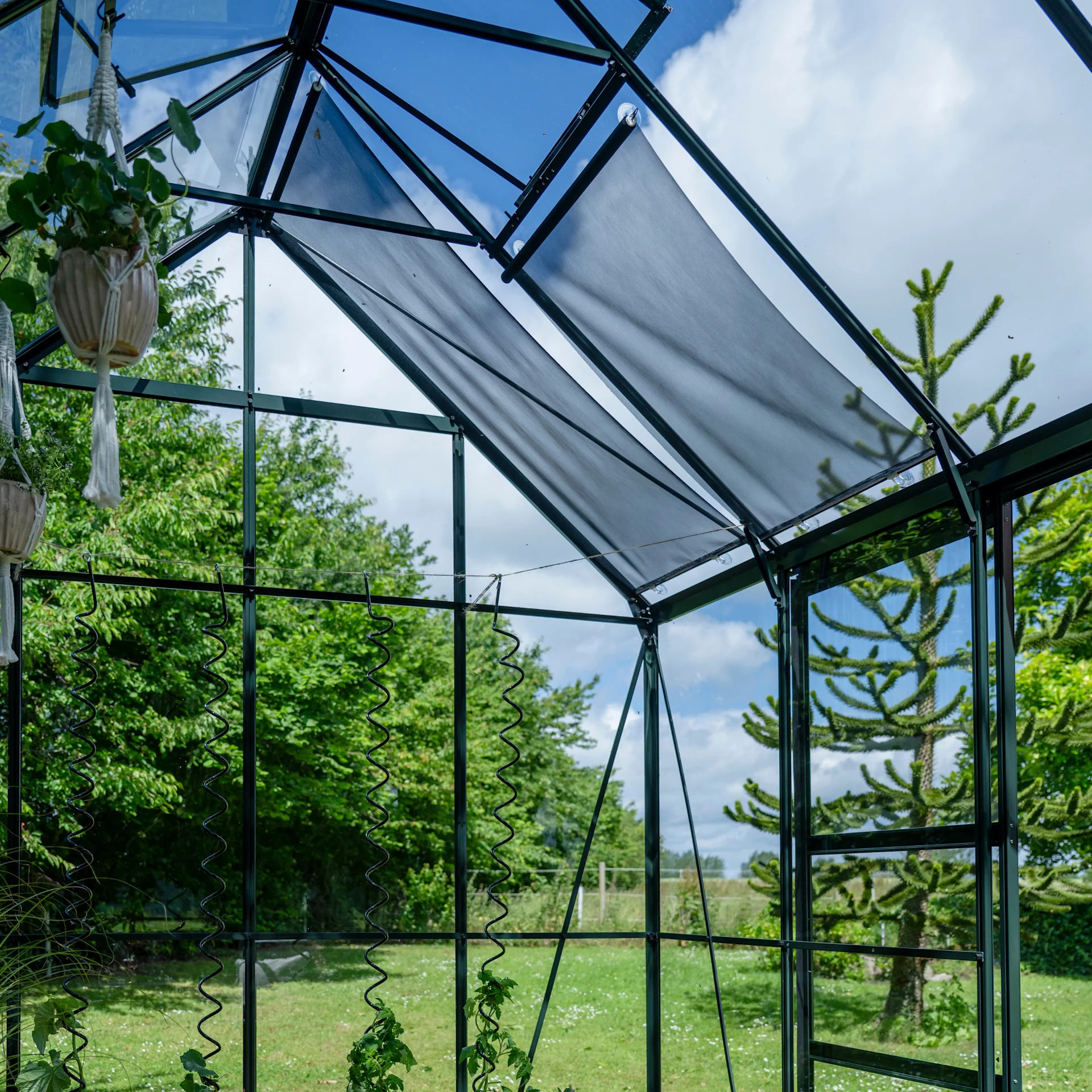 2480 2480 PLANTHOUSE (3)