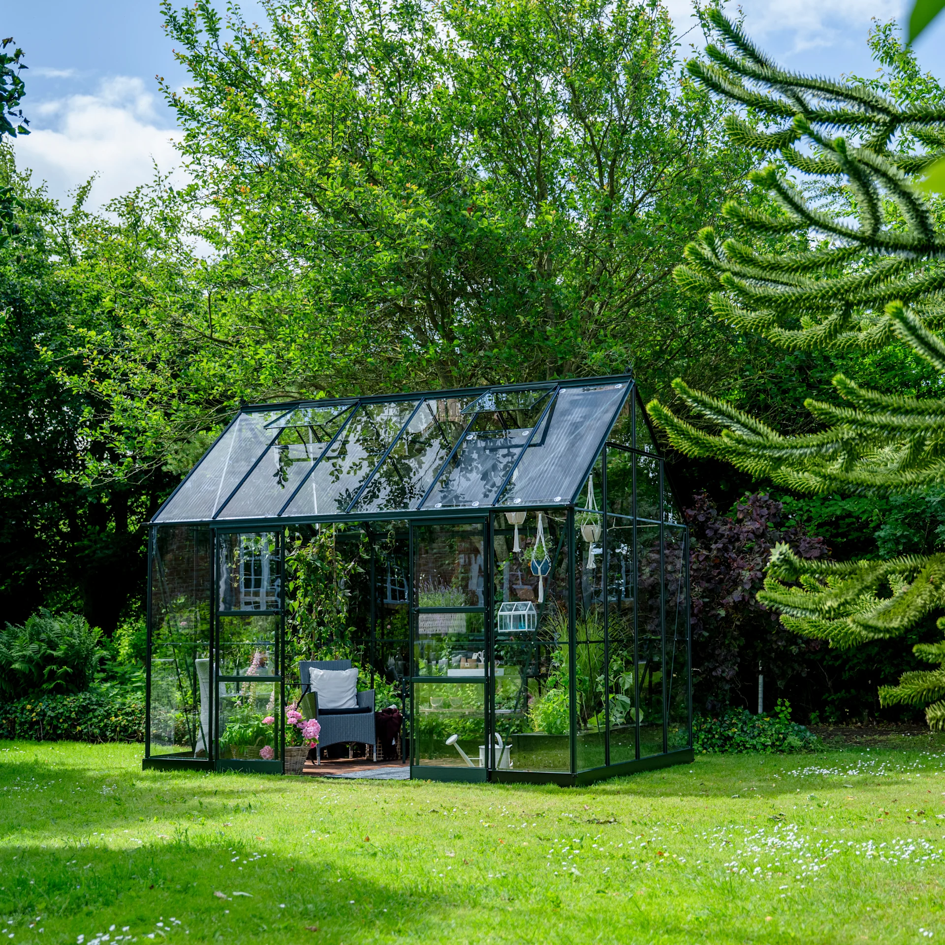 2480 2480 PLANTHOUSE