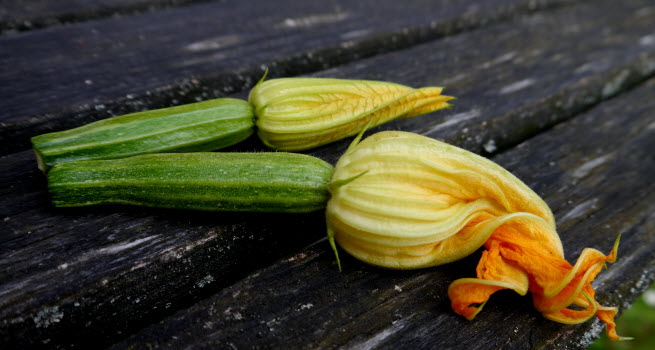 Pizza på grillen med squashblomster