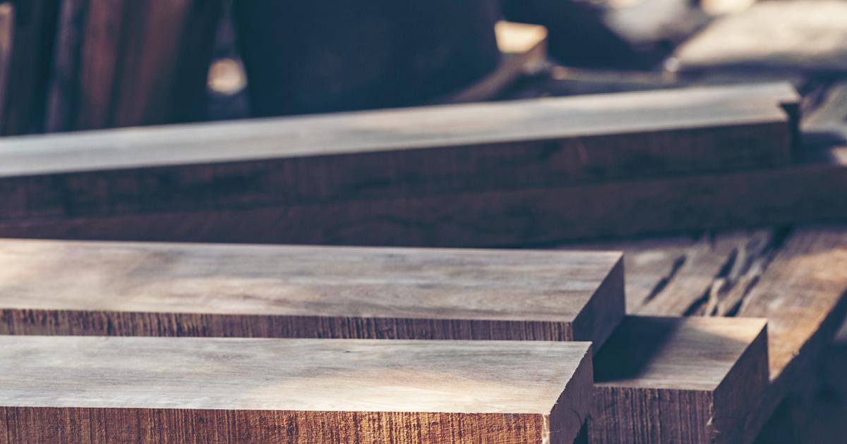 Guide: Trækvaliteter - Vælg det rigtige træ til dit DIY-projekt