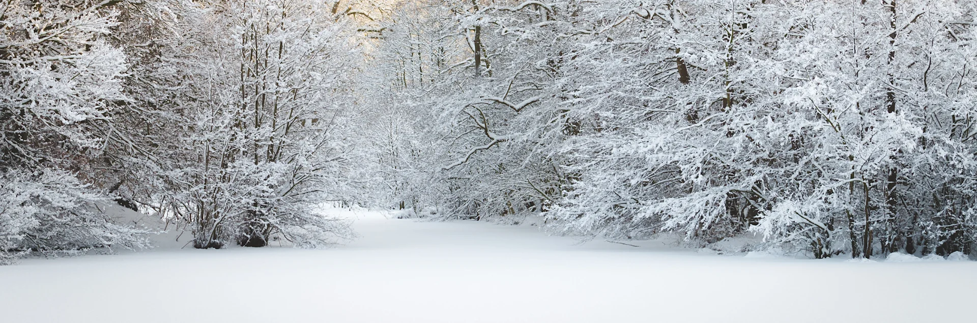 vinter-2480x820