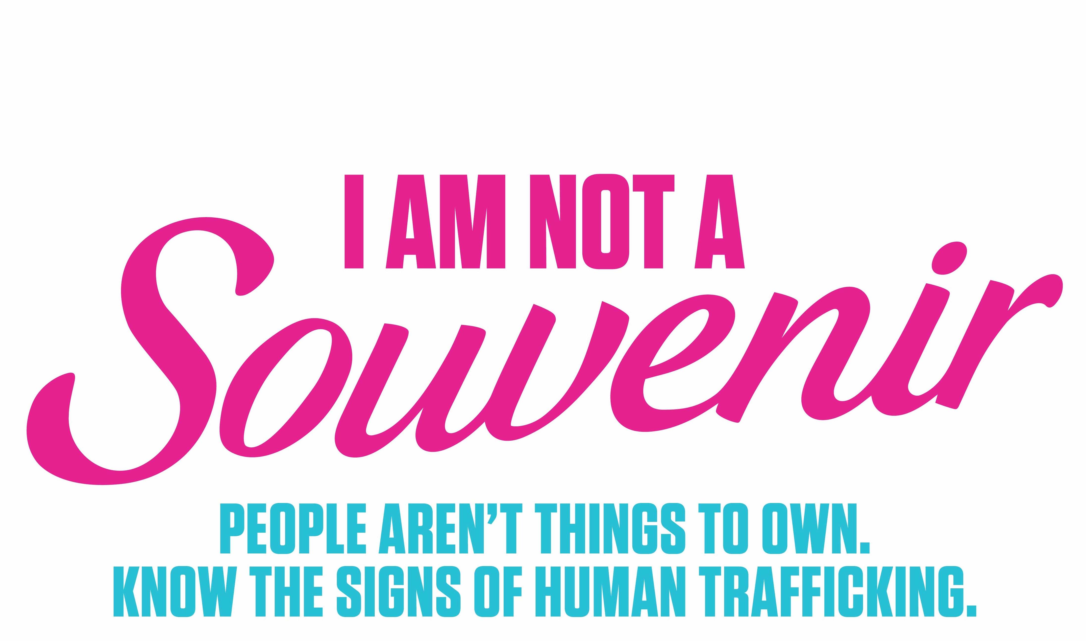 AirportTramPanel 11.5hx34.5w BlackTM copy