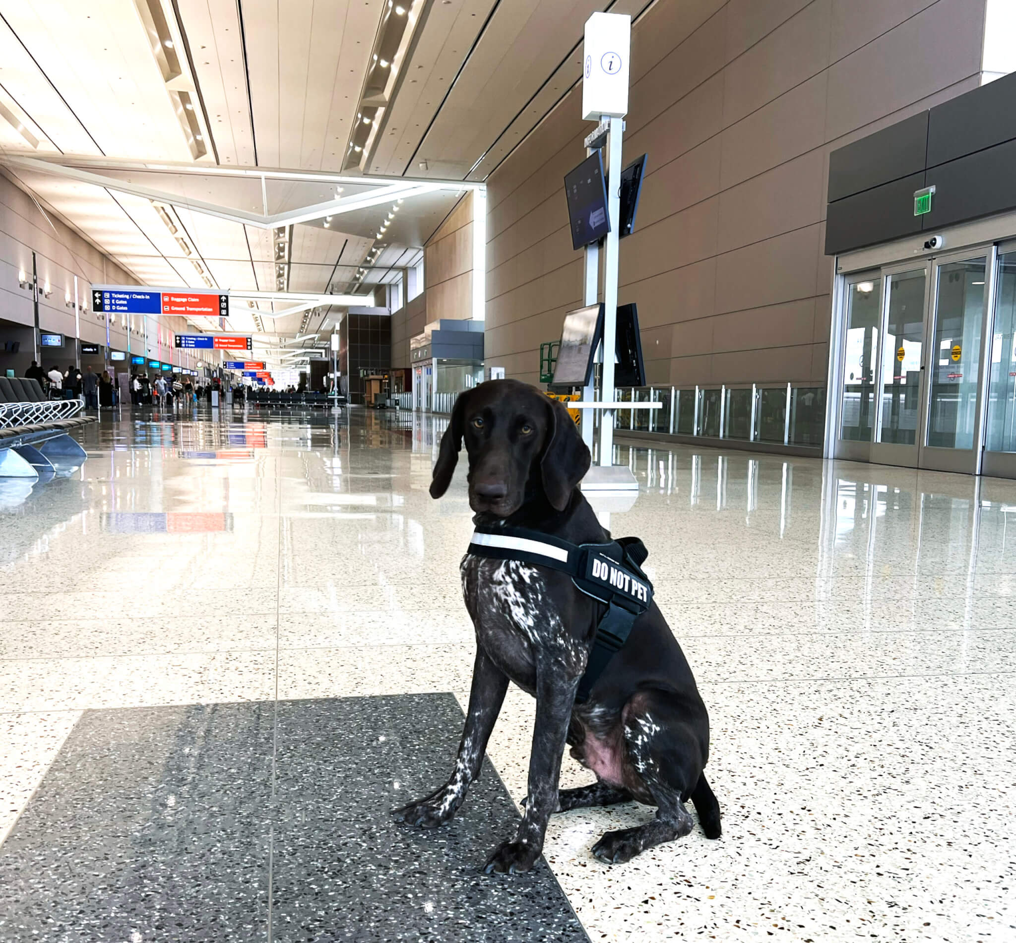 We’ve got some new paws on patrol at LAS!
