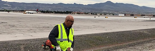 Mitigation plan lets animals and aircraft safely coexist