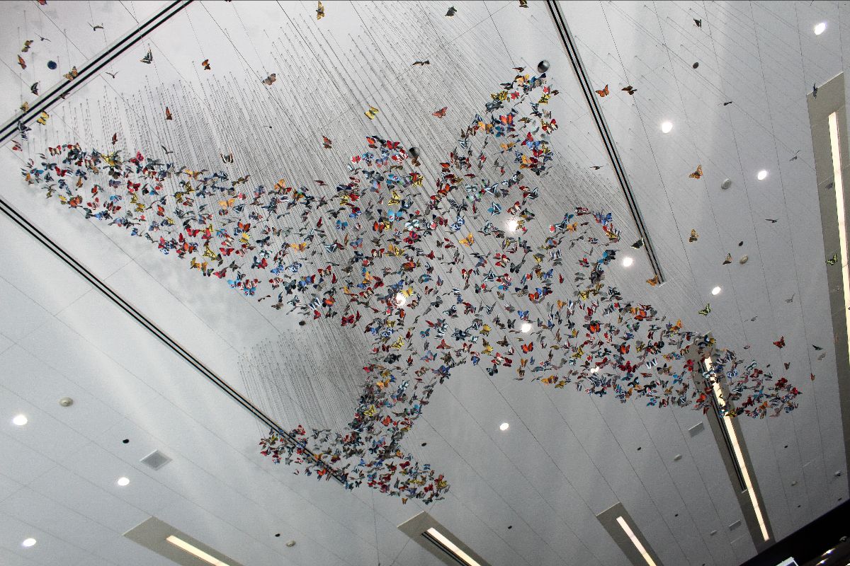 "Mirare" by Stu Schechter - Photo