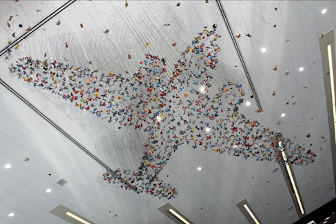 "Mirare" by Stu Schechter - Photo