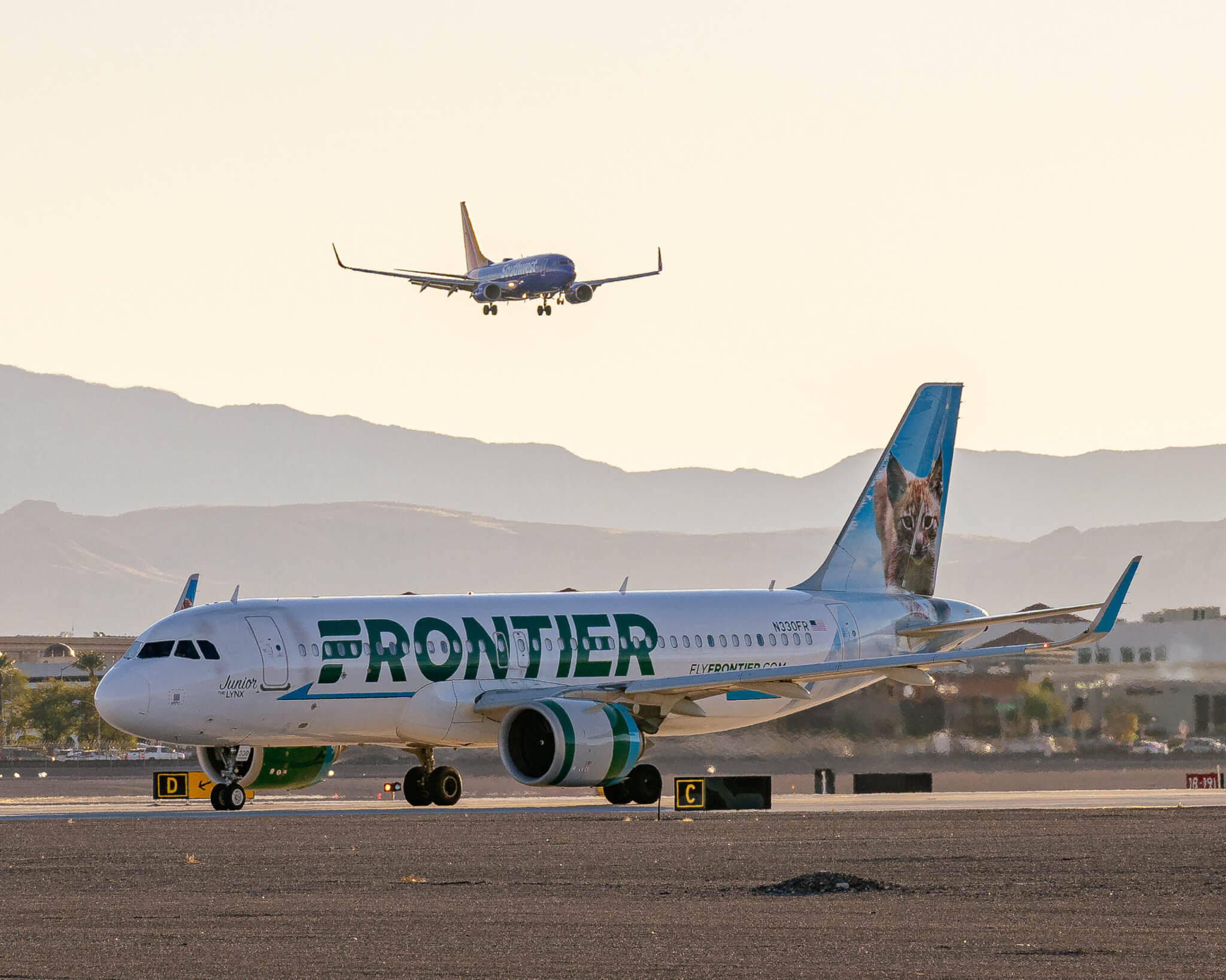 #SpottedatLAS: Frontier’s animal tails