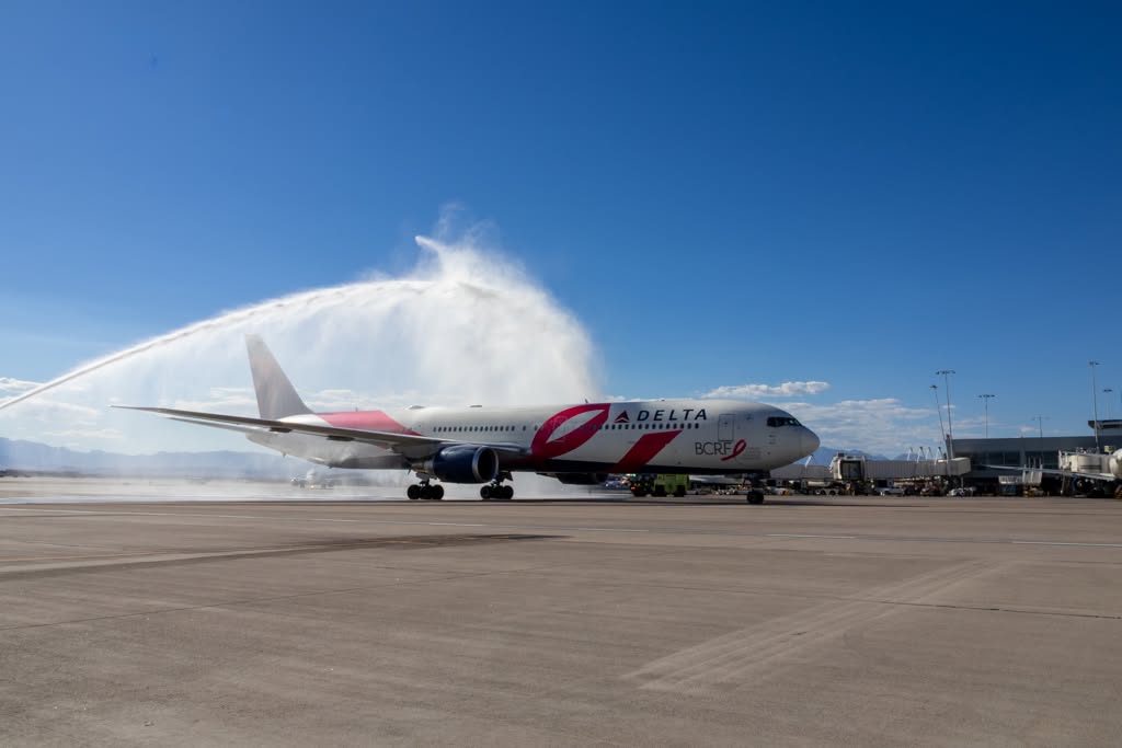 Delta Pink Ribbon Plane