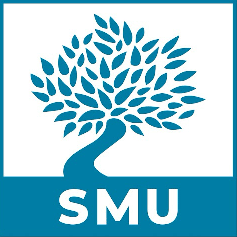 South Mediterranean University