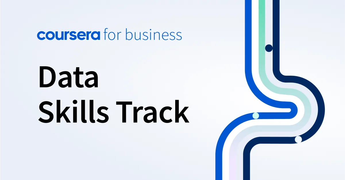 Data Skills Track