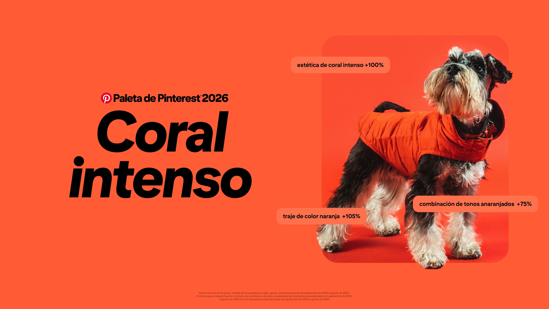 Un fondo coral intenso y llamativo con un gran texto negro que dice “Pinterest Palette 2026 Coral intenso”.