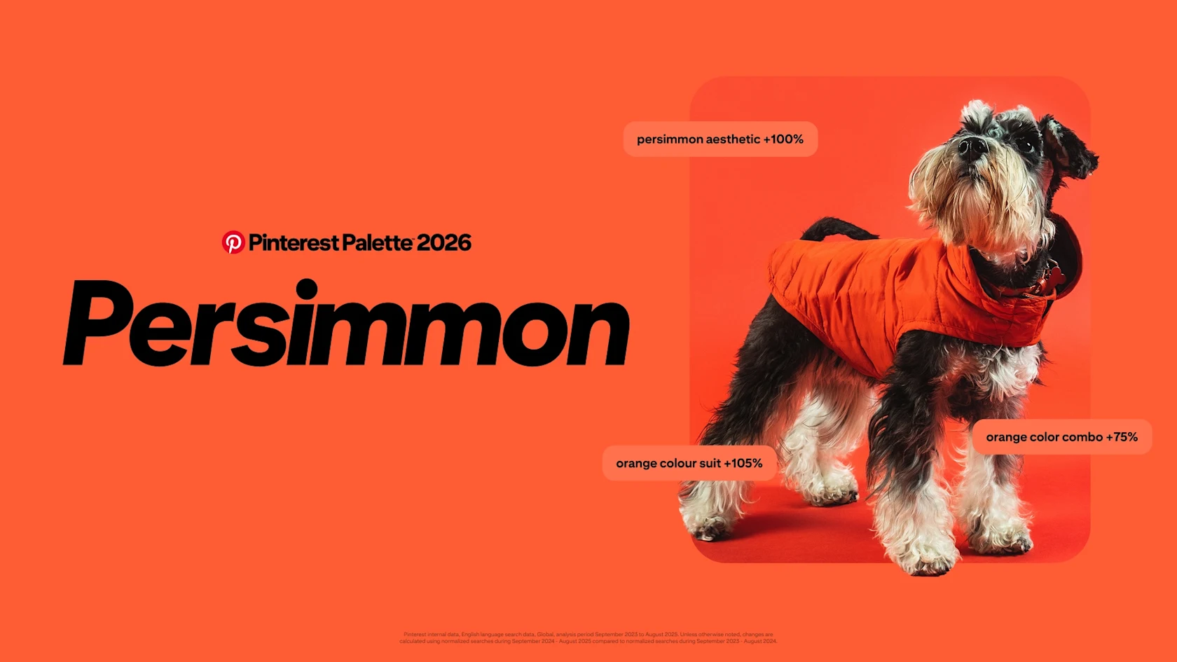 A vivid orange background with large black text reading “Pinterest Palette 2026 Persimmon.” On the right, a small black‑and‑white dog stands facing slightly upward, wearing a bright orange puffer coat against an orange backdrop.