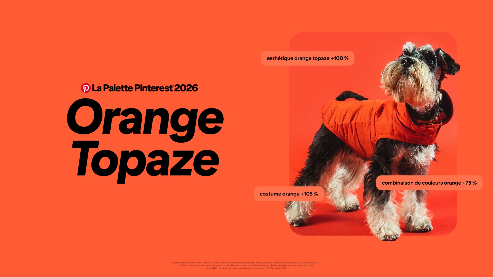 Un fond orange vif avec un grand texte noir indiquant « La Palette Pinterest 2026 Orange Topaze ». À droite, un petit chien noir et blanc, debout et regardant légèrement vers le haut, porte une doudoune orange éclatante devant un décor orange. 