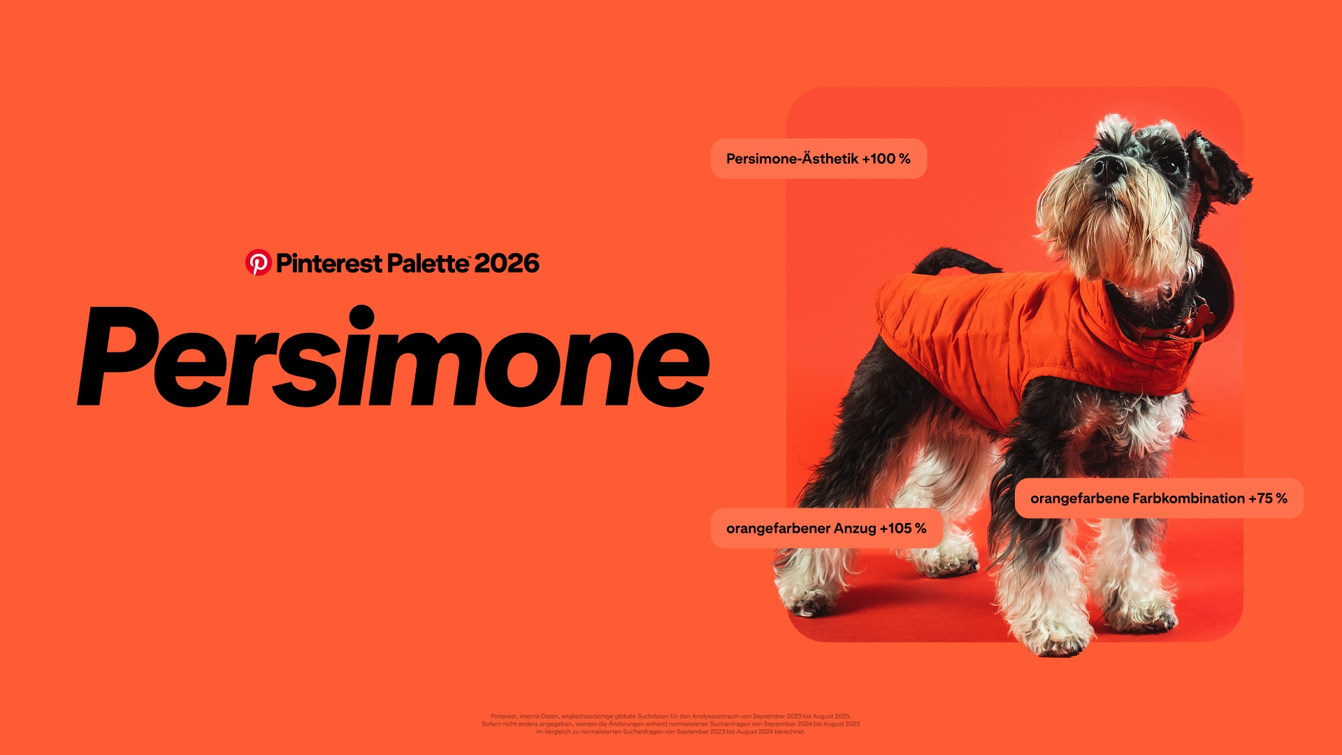 Ein leuchtend oranger Hintergrund mit großem schwarzen Text 'Pinterest Palette 2026 Persimone.' Rechts steht ein kleiner schwarz-weißer Hund, der leicht nach oben schaut und eine leuchtend orange Daunenjacke vor einem orangen Hintergrund trägt. 
