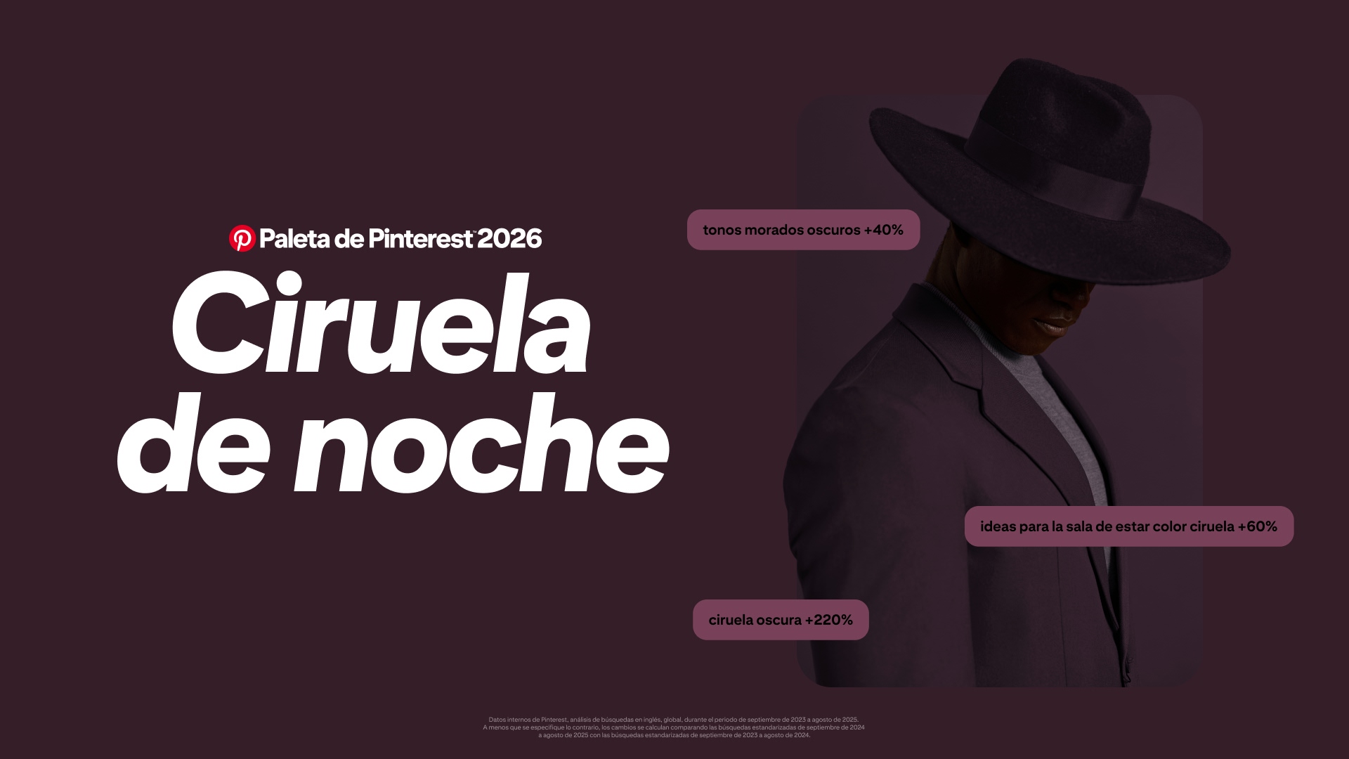Un fondo de color ciruela intenso con texto blanco grande que dice "Pinterest Palette 2026 Plum Noir". A la derecha, una persona vestida con un traje color ciruela oscuro y un sombrero de ala ancha mira hacia abajo, parcialmente en la sombra.