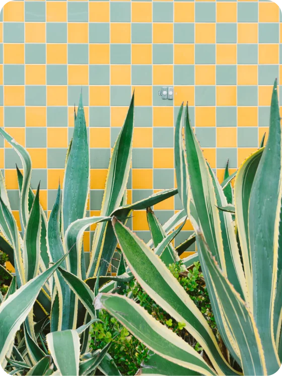 Wild plants grow in front of a checkered wall