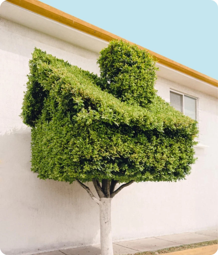 A bright green shrub that has been pruned into the shape of a house